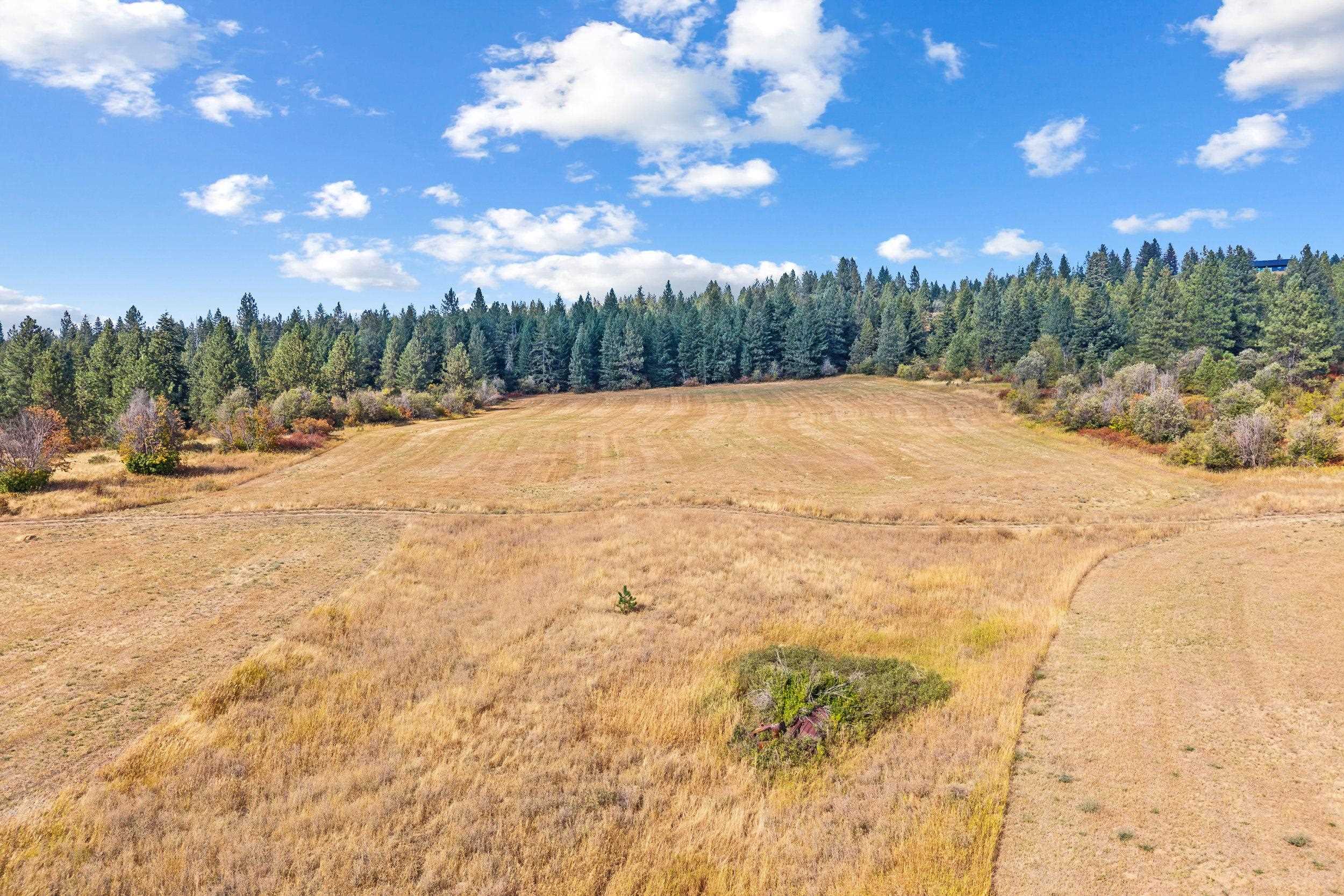 NKN-B Kirkpatrick Rd - Photo 8
