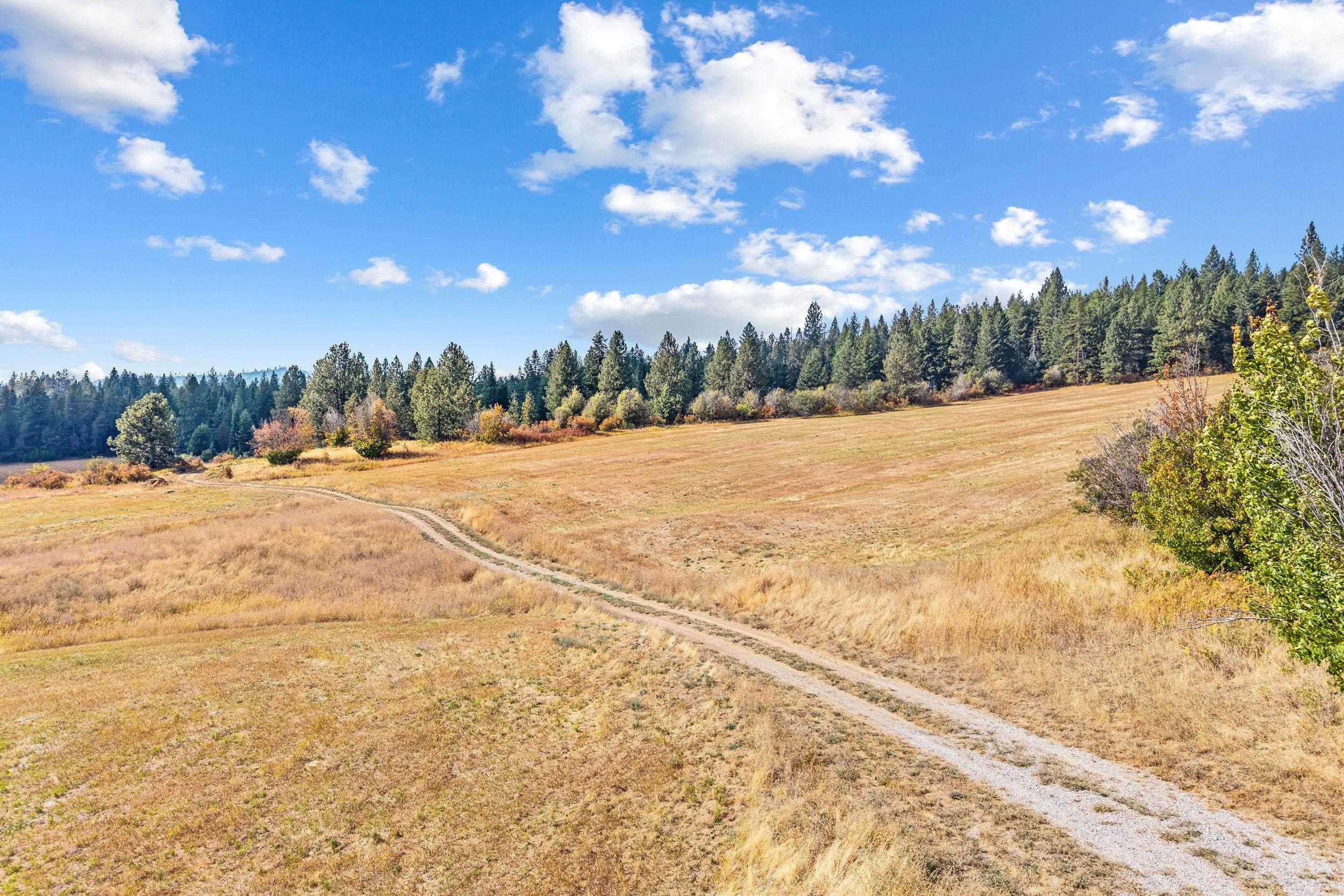 NKN-B Kirkpatrick Rd - Photo 9