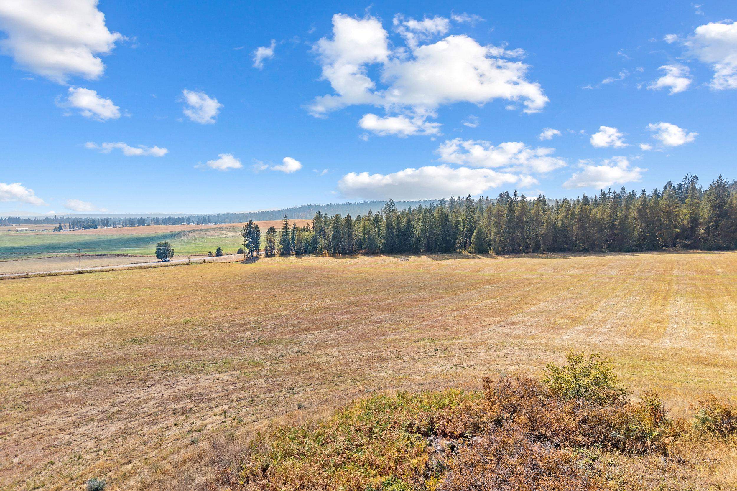 NKN-B Kirkpatrick Rd - Photo 15