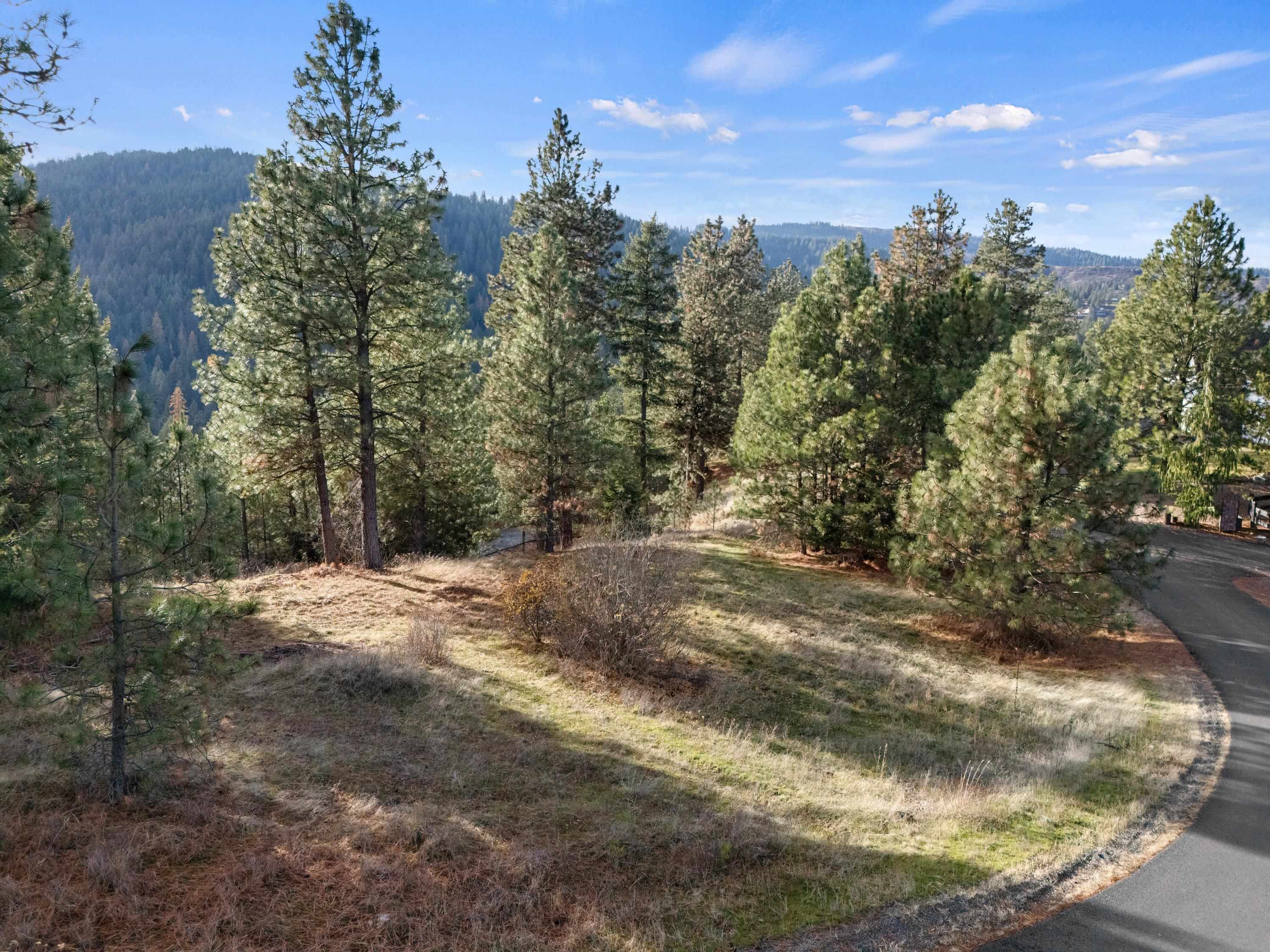 XXXX E View Ridge Ln - Photo 5