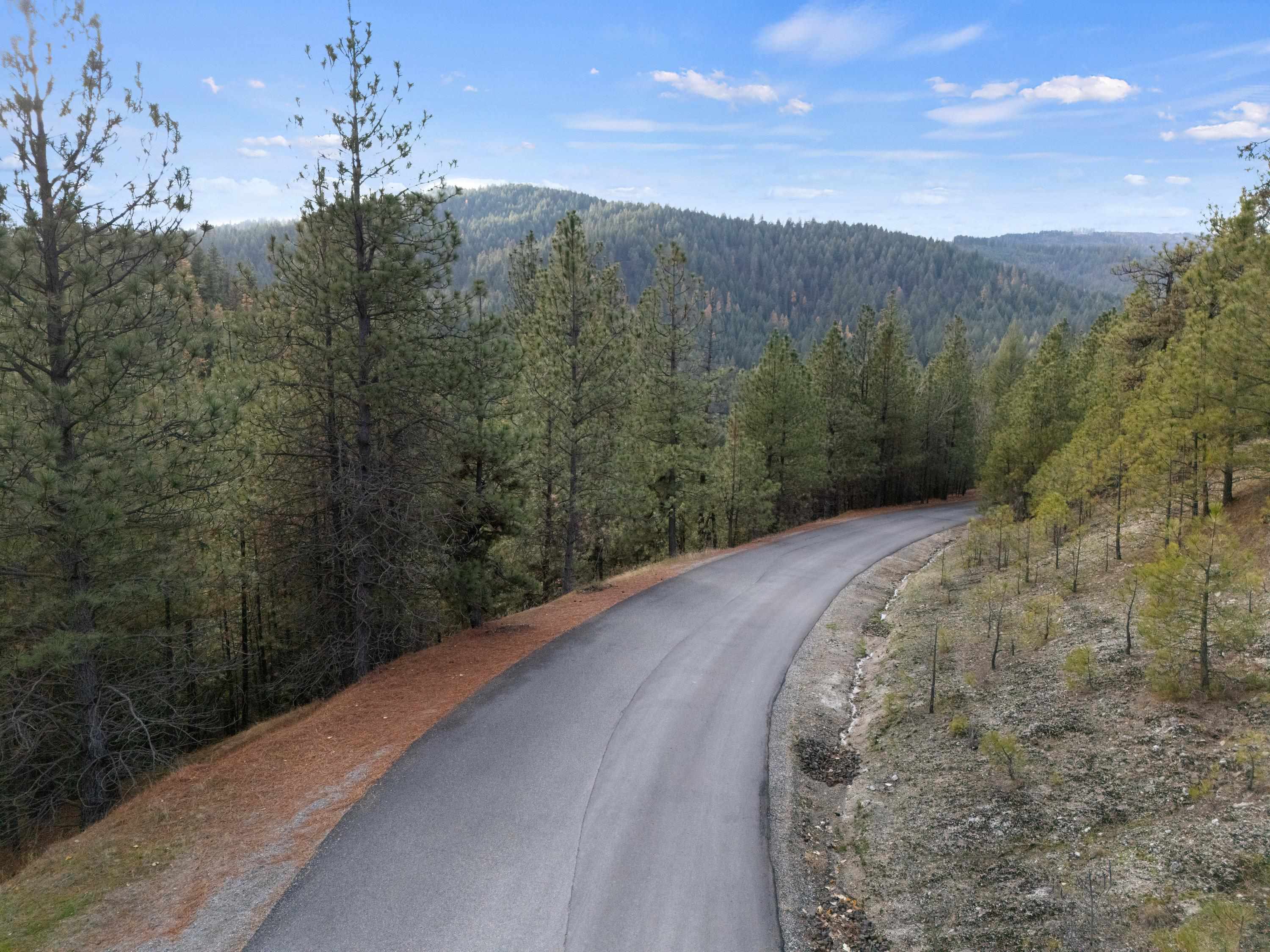 XXXX E View Ridge Ln - Photo 4