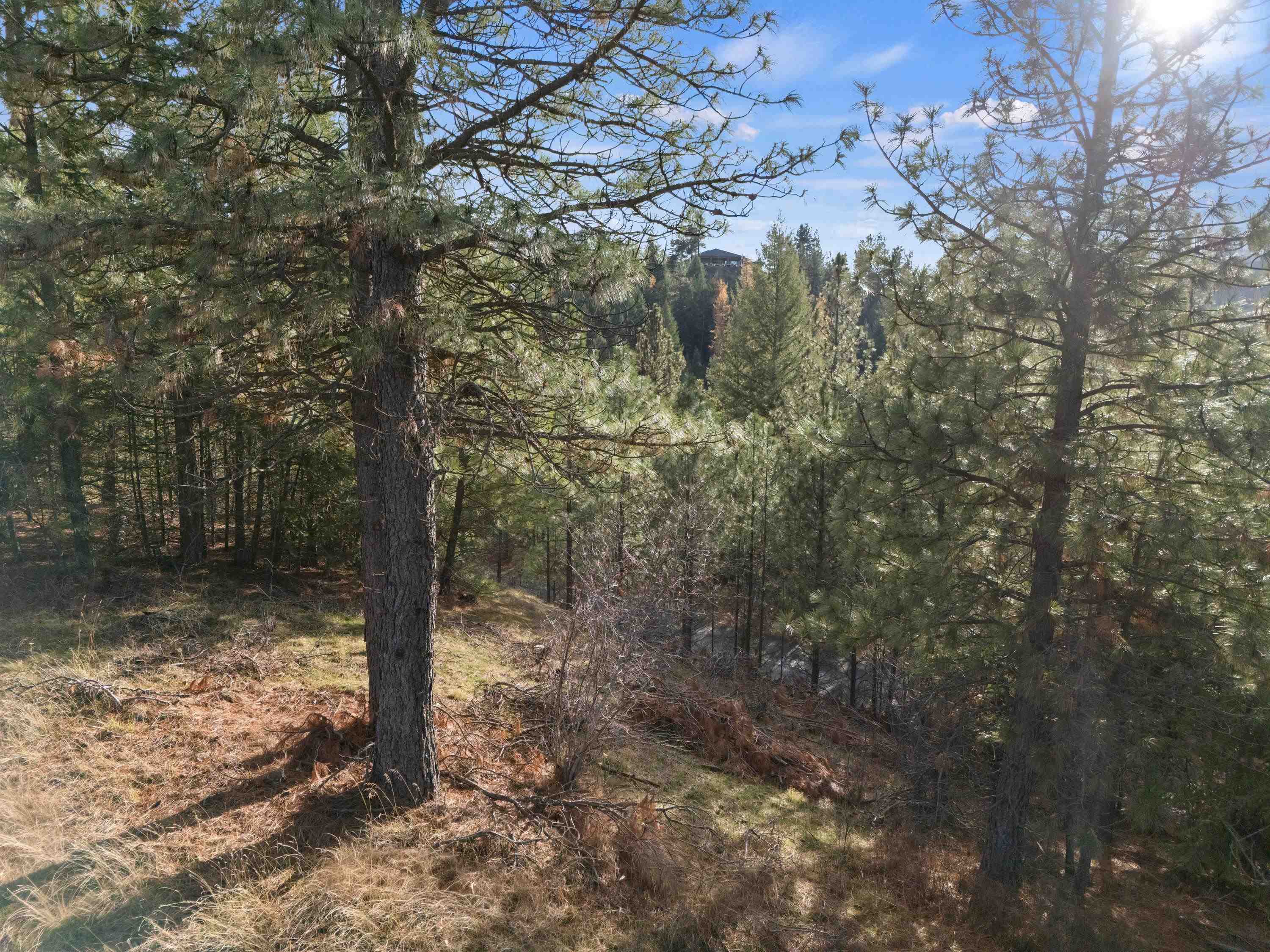 XXXX E View Ridge Ln - Photo 9
