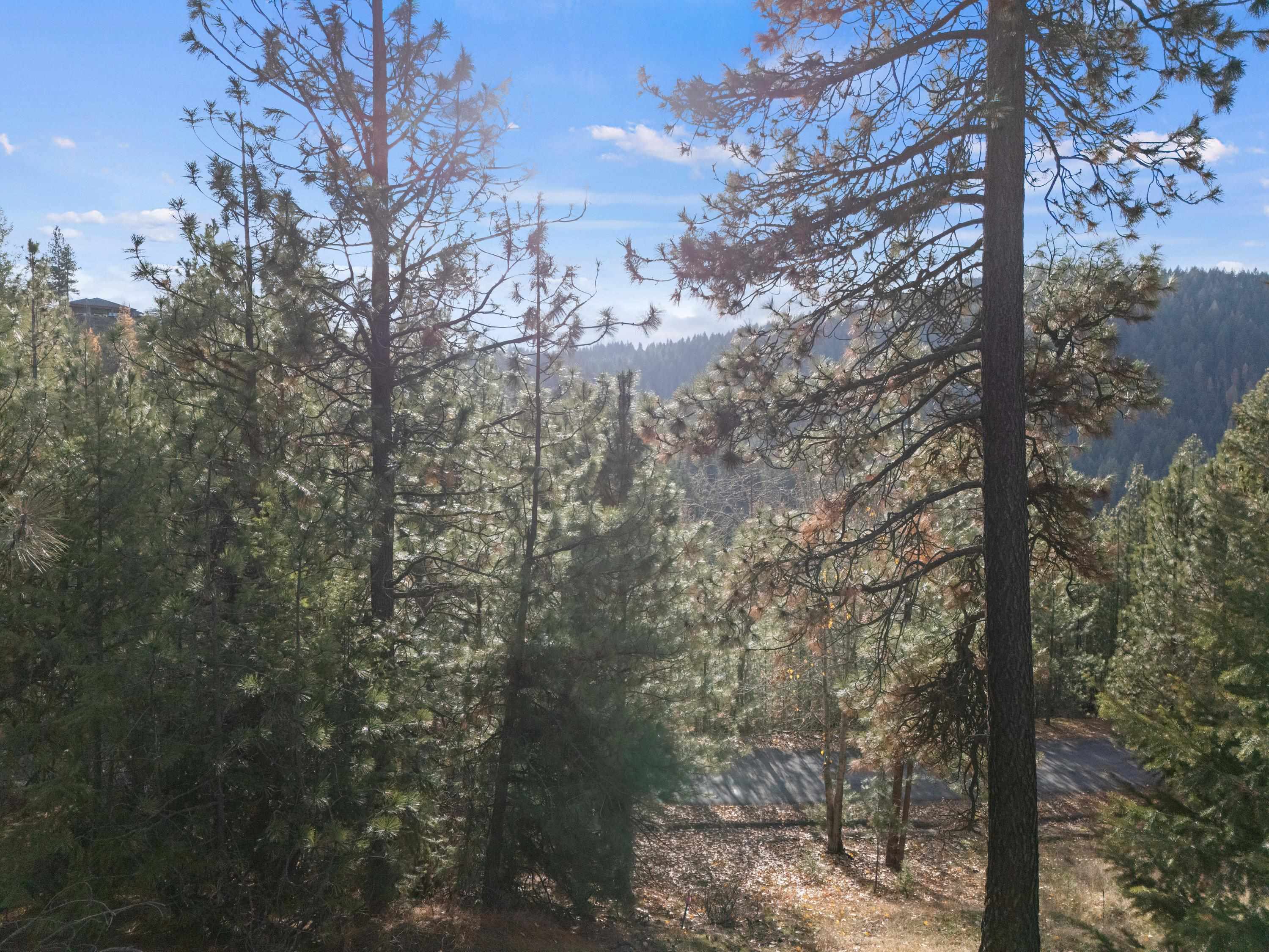 XXXX E View Ridge Ln - Photo 10