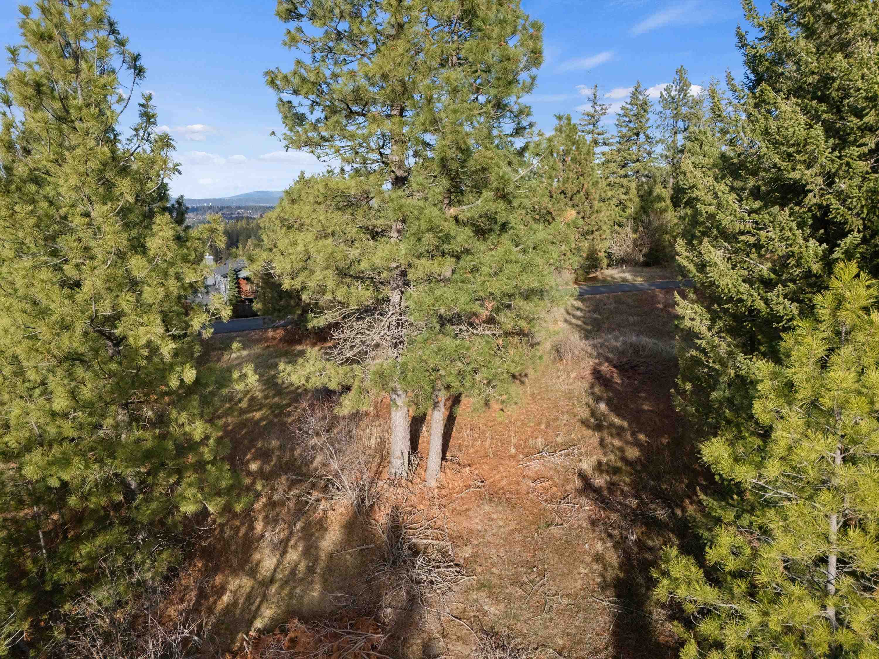XXXX E View Ridge Ln - Photo 11