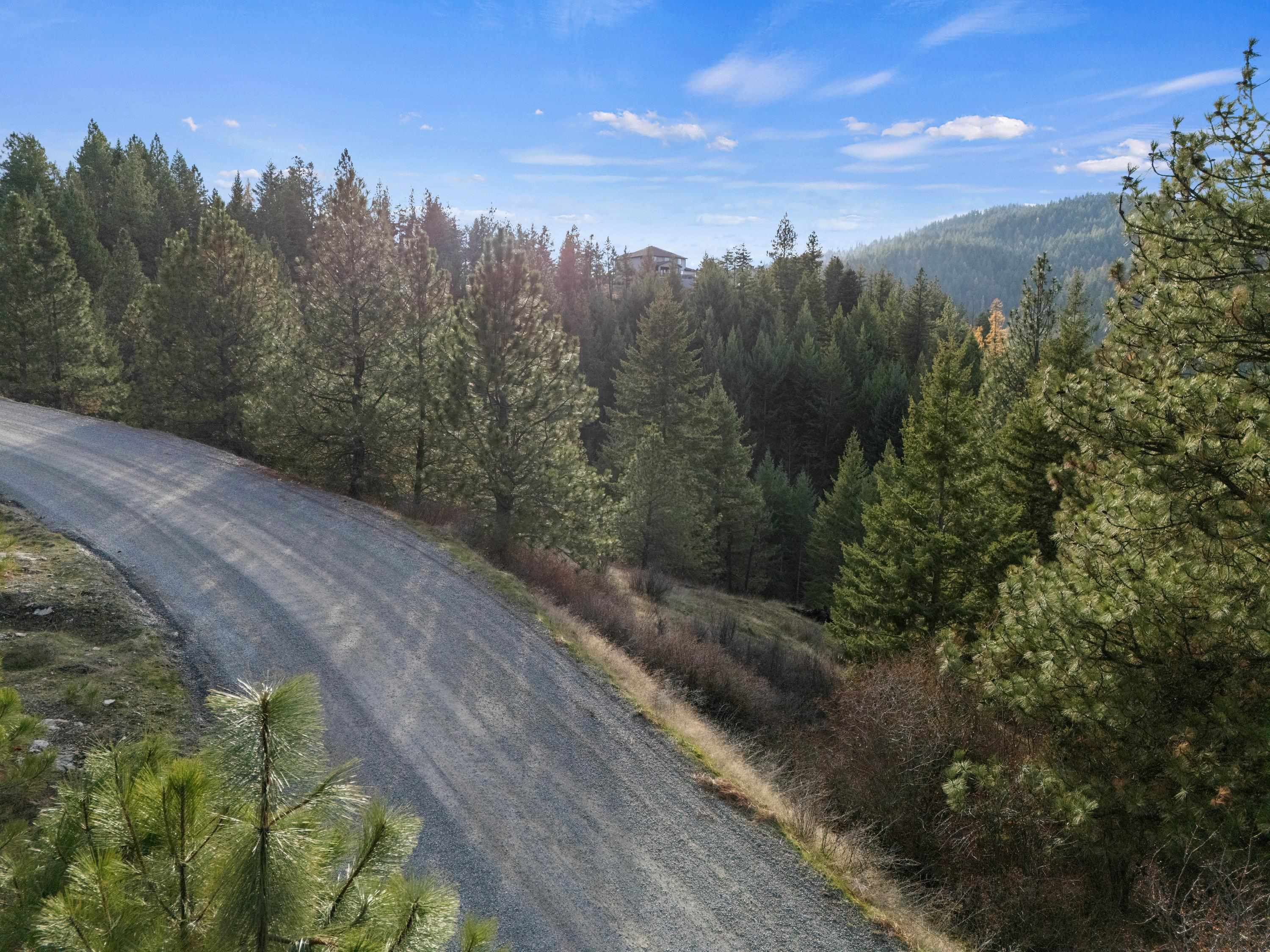 XXXX E View Ridge Ln - Photo 13