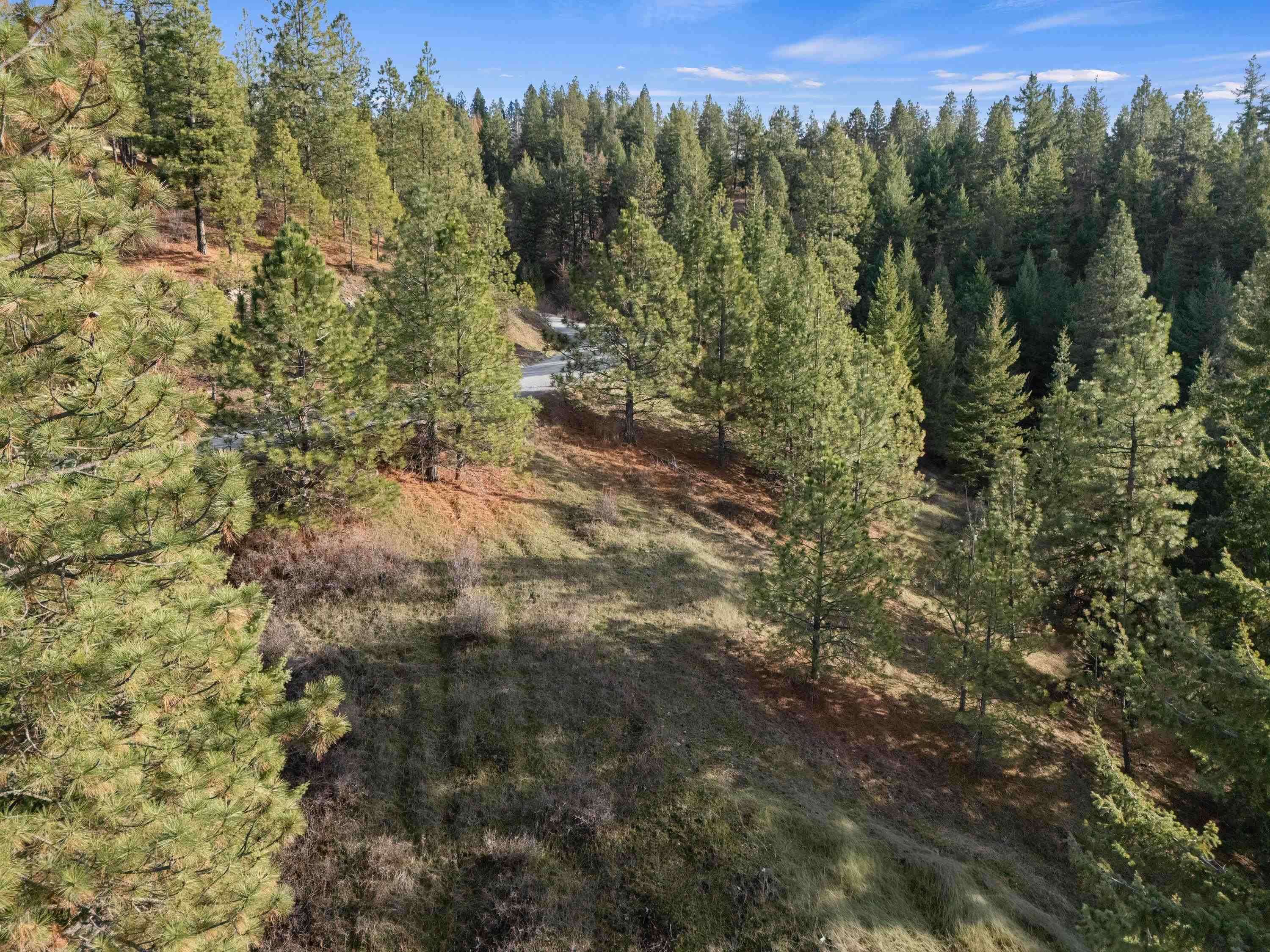 XXXX E View Ridge Ln - Photo 15
