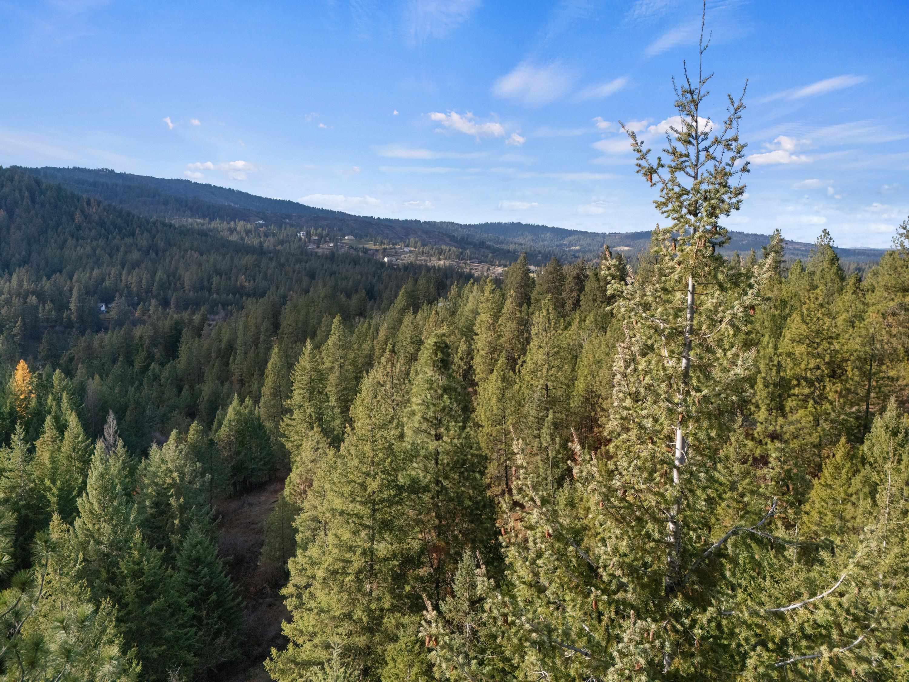 XXXX E View Ridge Ln - Photo 17