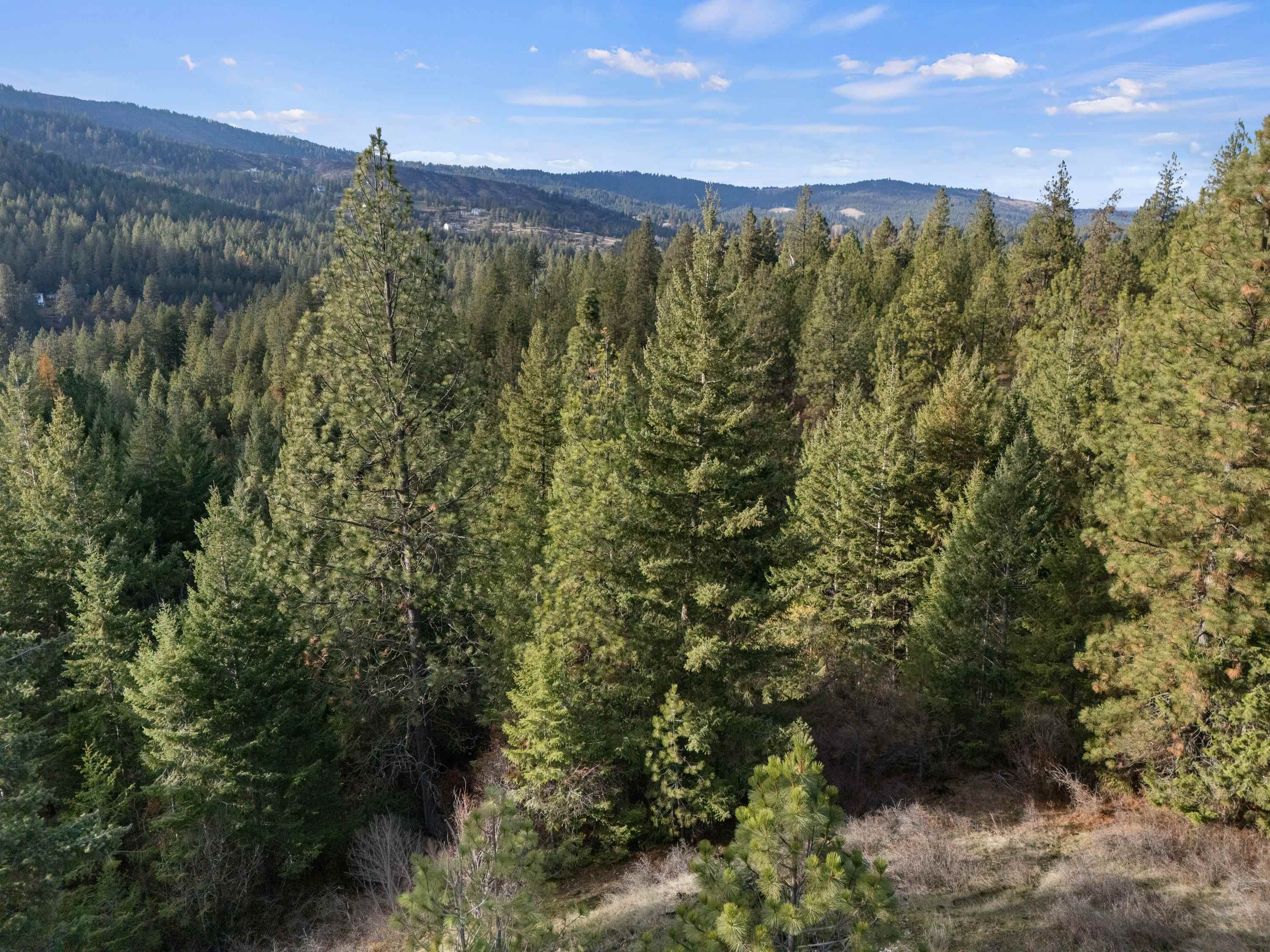 XXXX E View Ridge Ln - Photo 18
