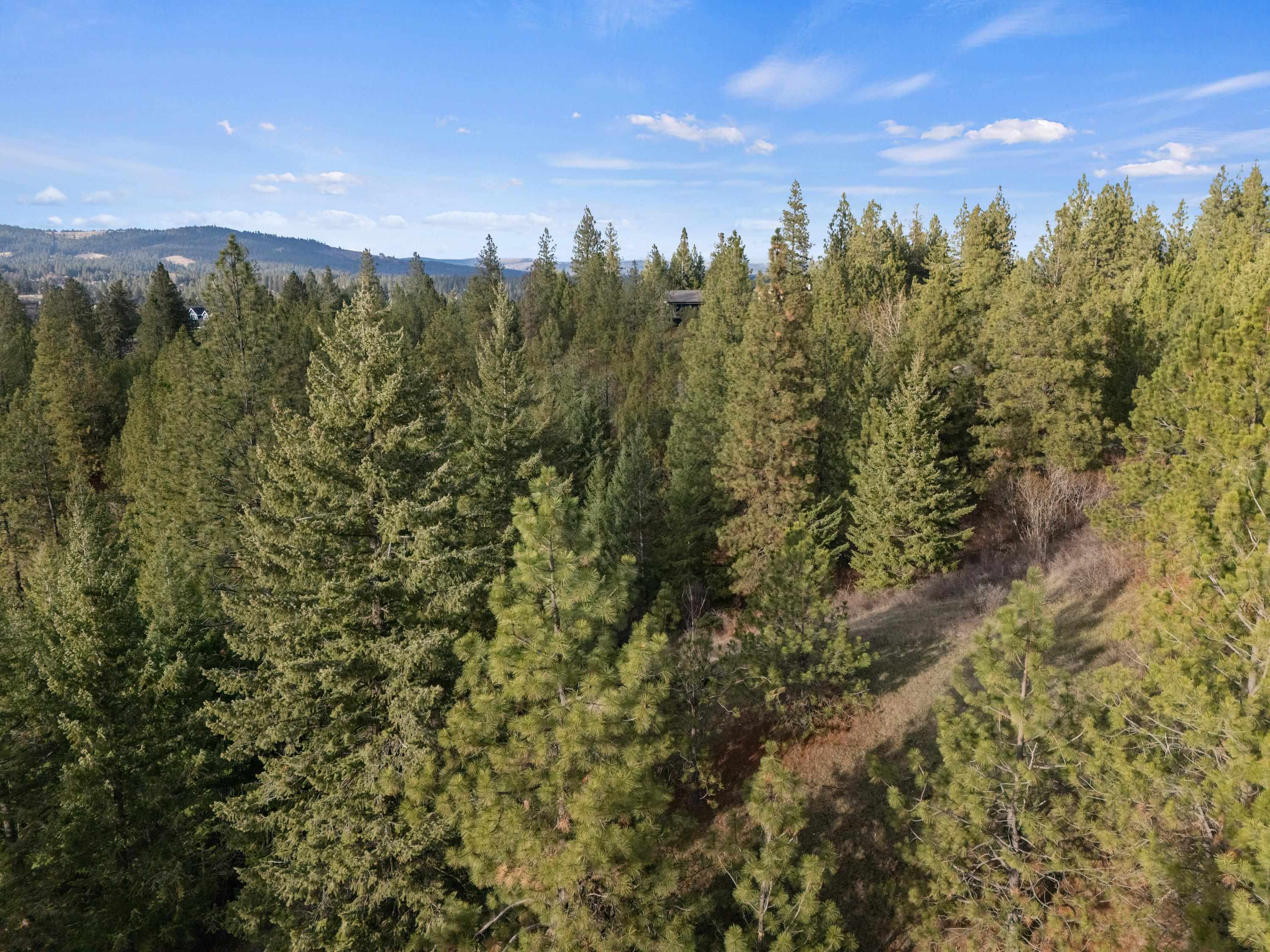 XXXX E View Ridge Ln - Photo 20