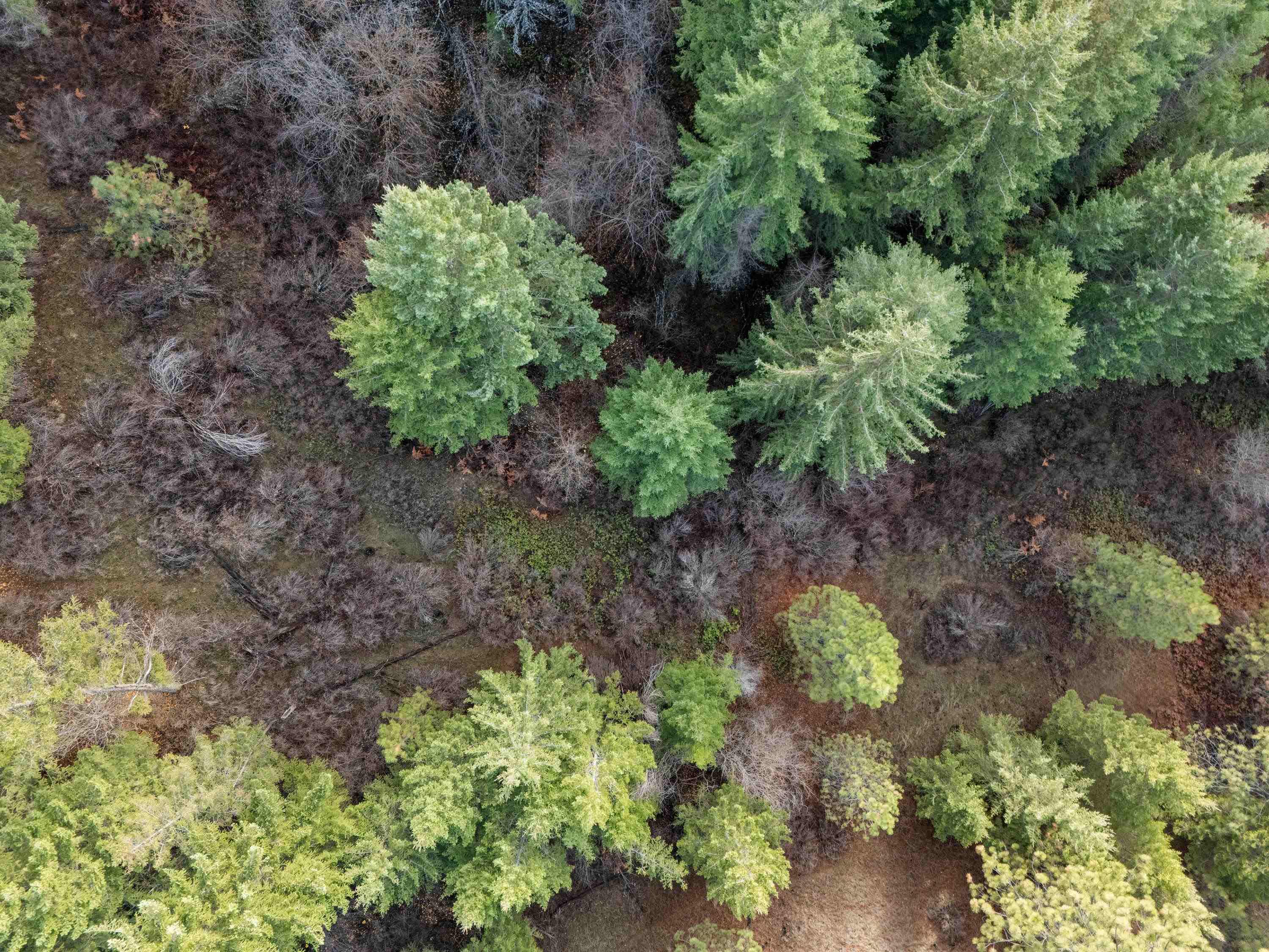 XXXX E View Ridge Ln - Photo 21