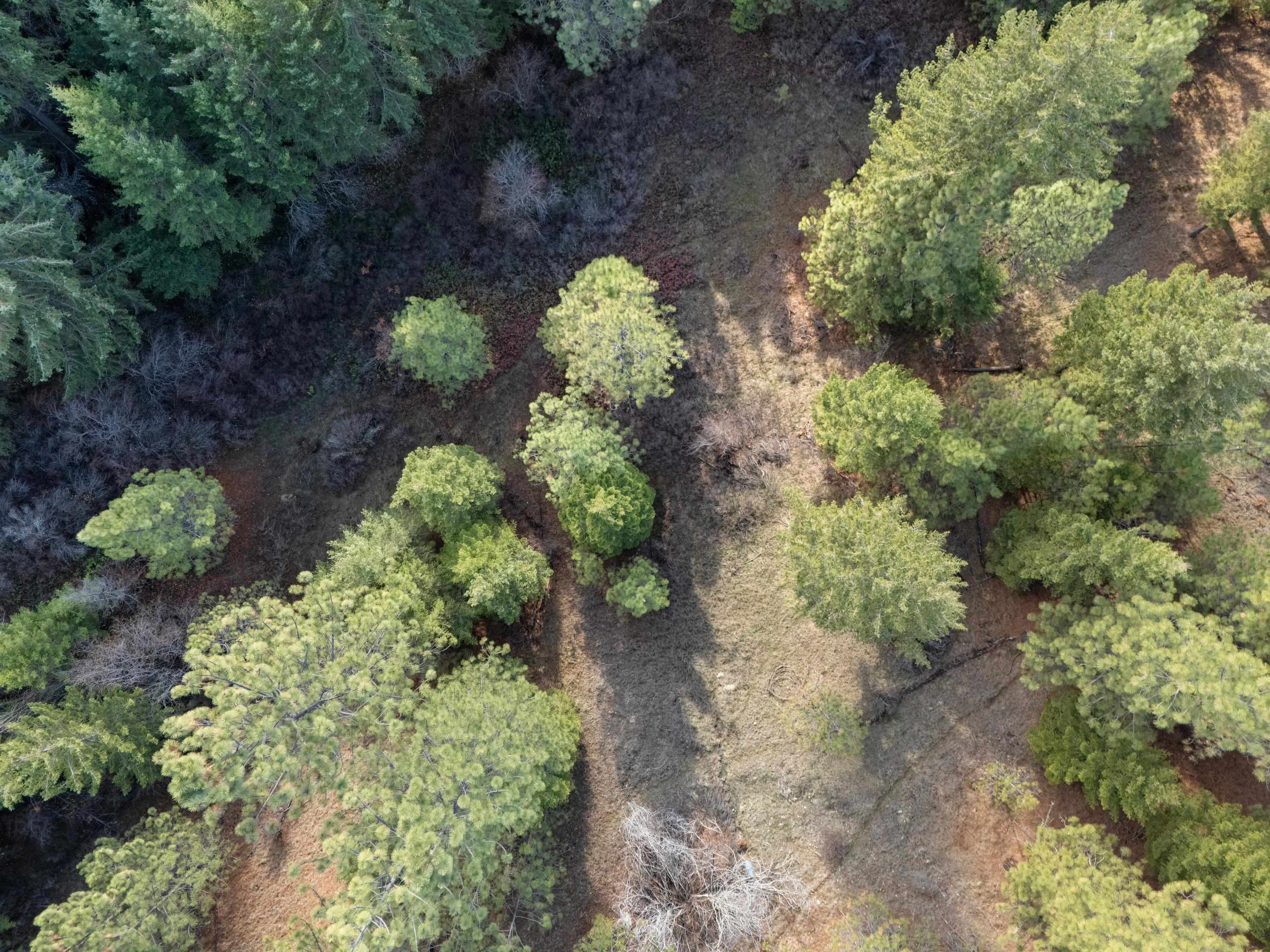 XXXX E View Ridge Ln - Photo 28