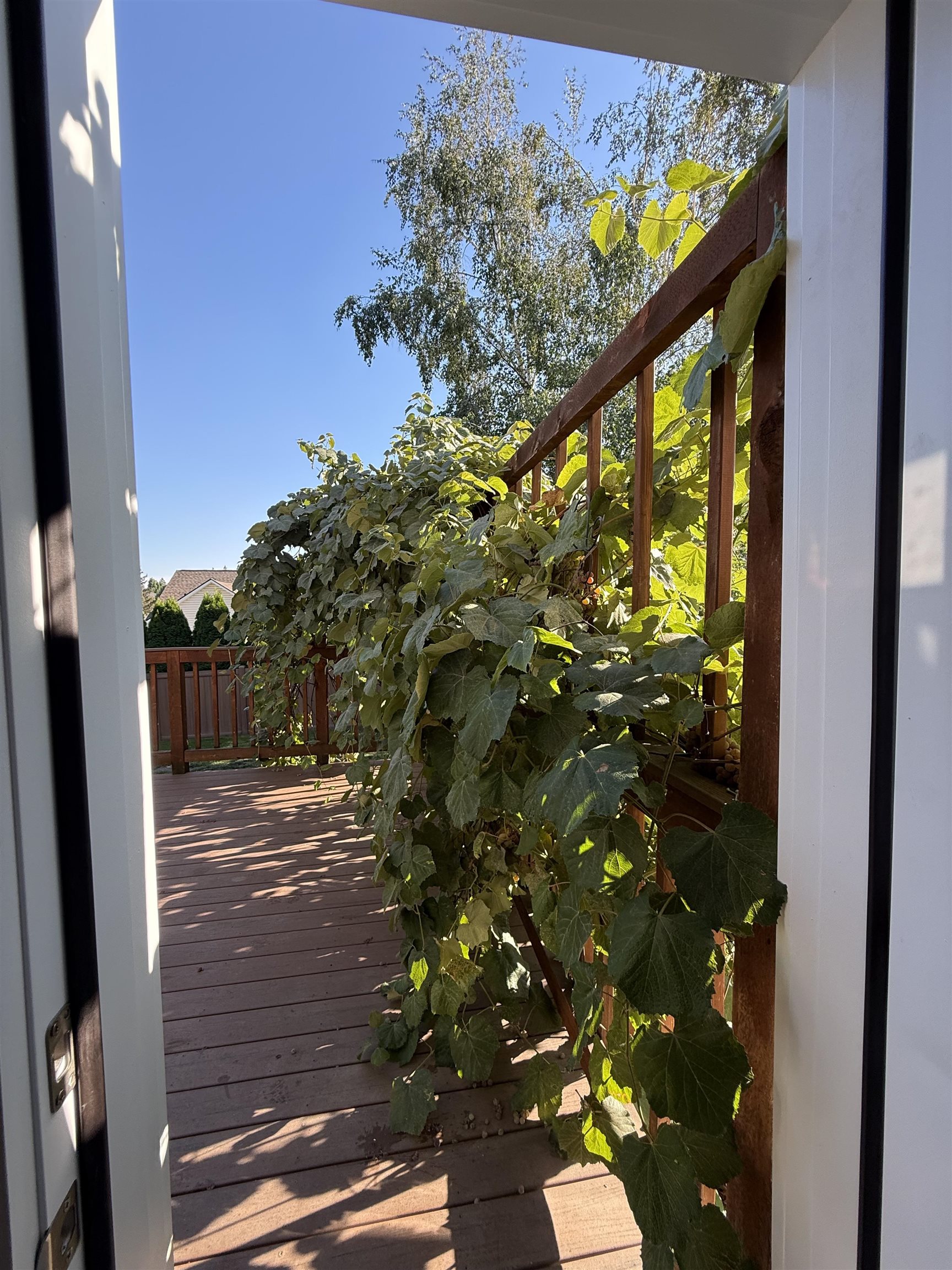 3507 W 21 ST Ave - Photo 10