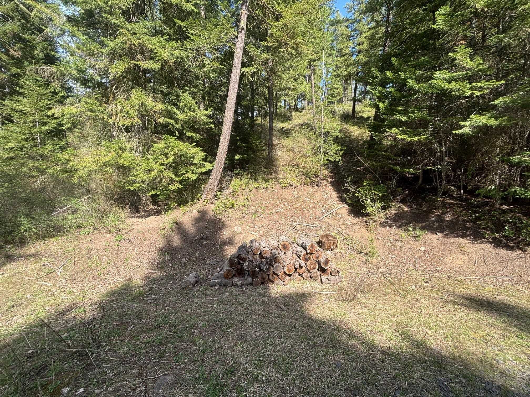 11XXX Hartley Ln - Photo 5