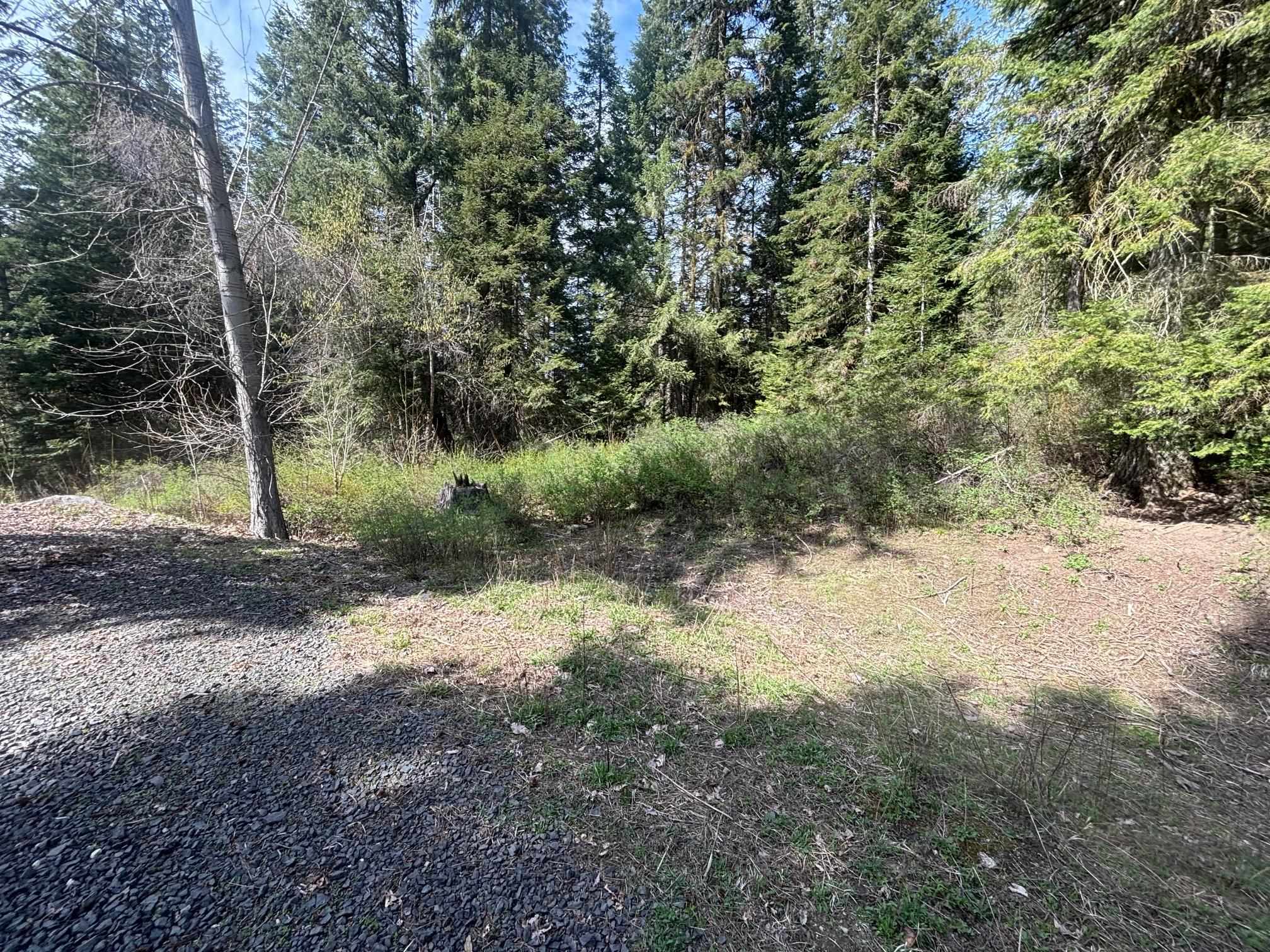 11XXX Hartley Ln - Photo 8