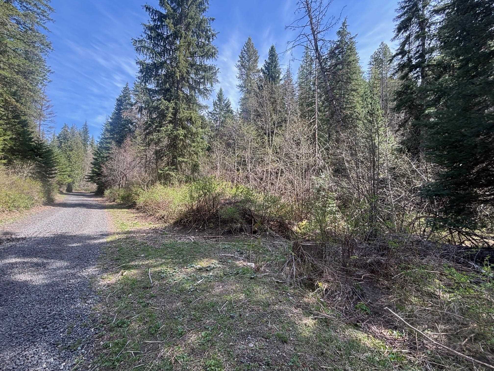 11XXX Hartley Ln - Photo 10