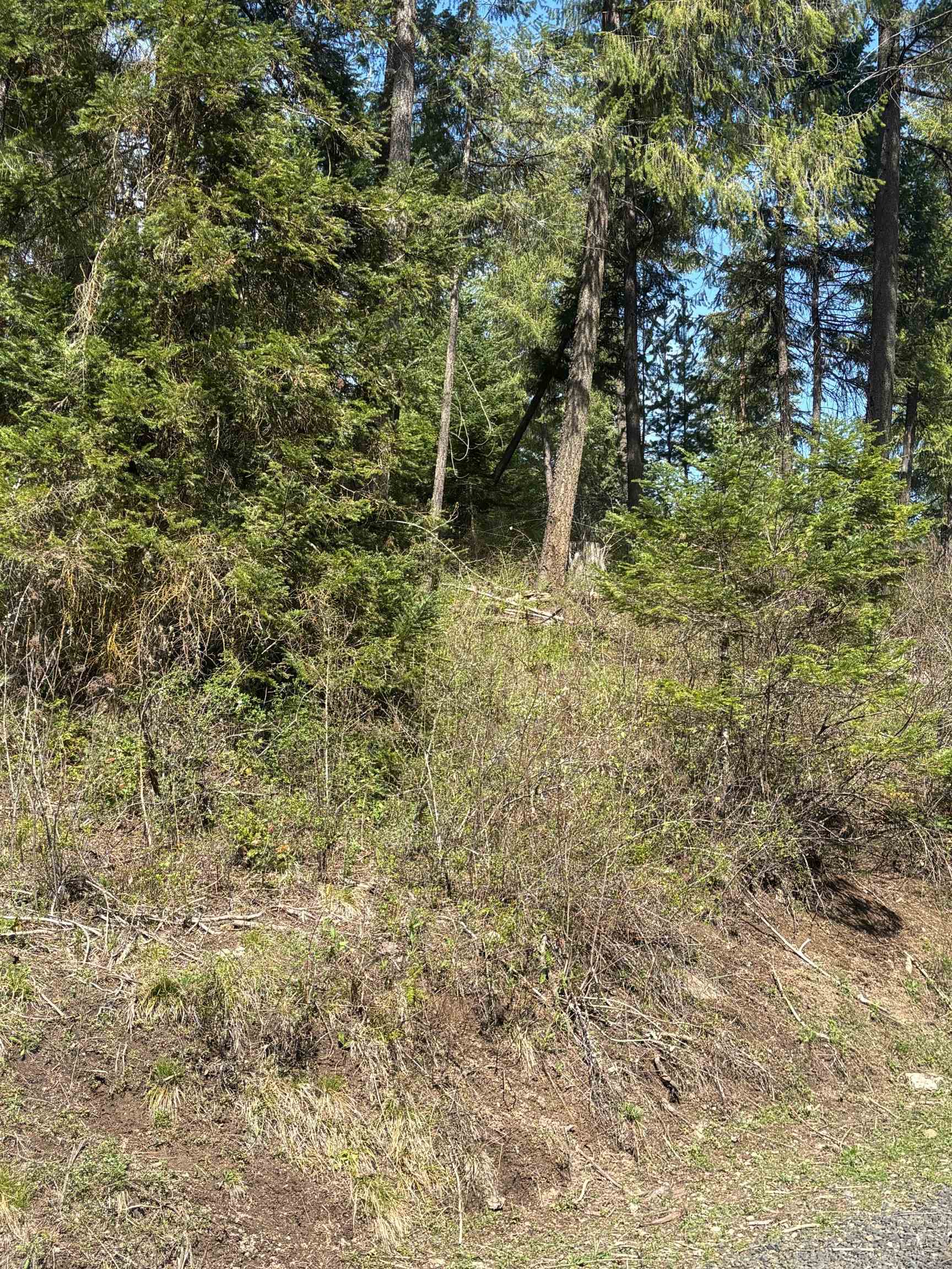 11XXX Hartley Ln - Photo 13