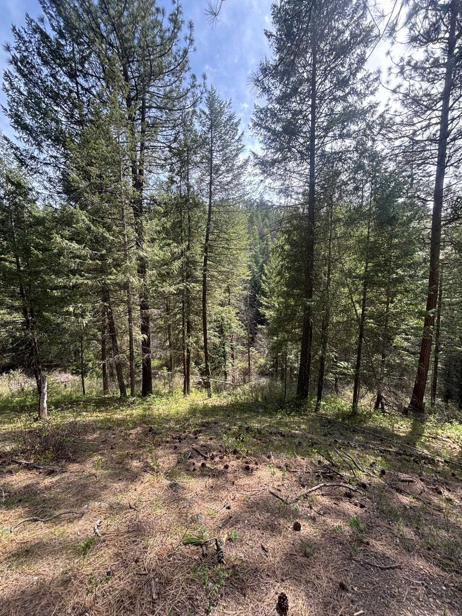 11XXX Hartley Ln - Photo 17