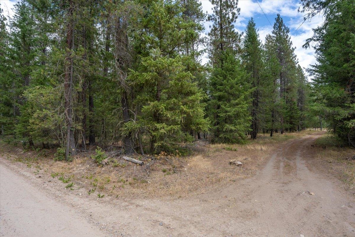2630 ? Golf Course Rd - Photo 8