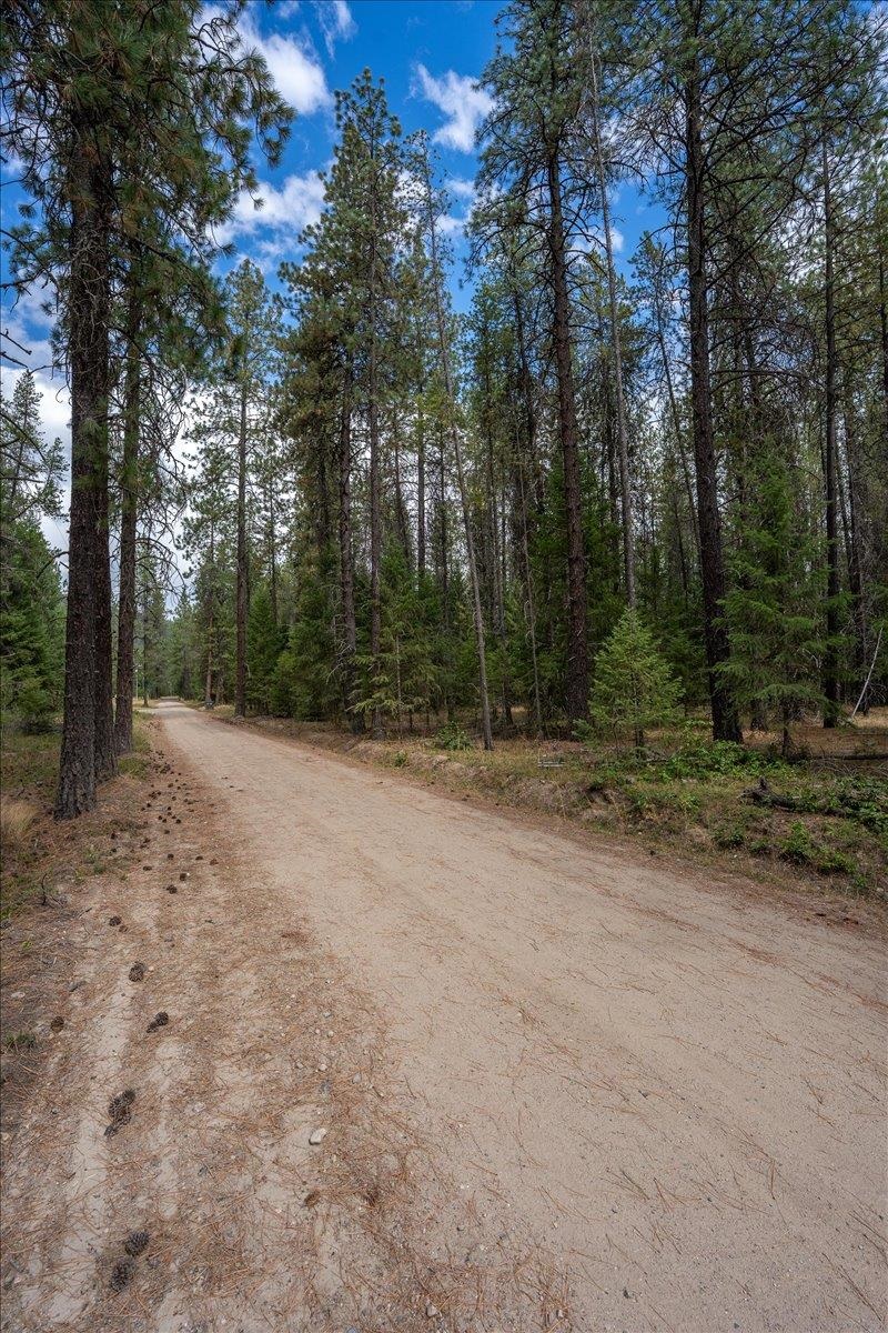 2630 ? Golf Course Rd - Photo 10