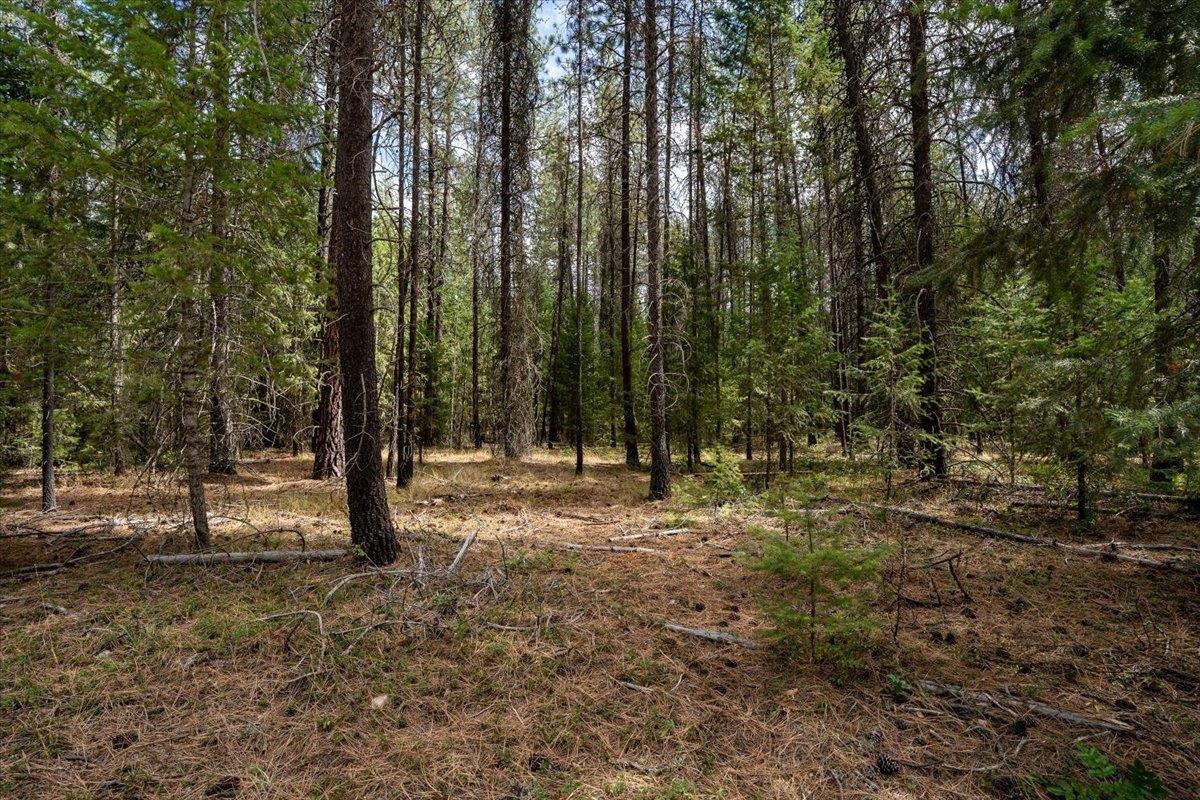 2630 ? Golf Course Rd - Photo 12