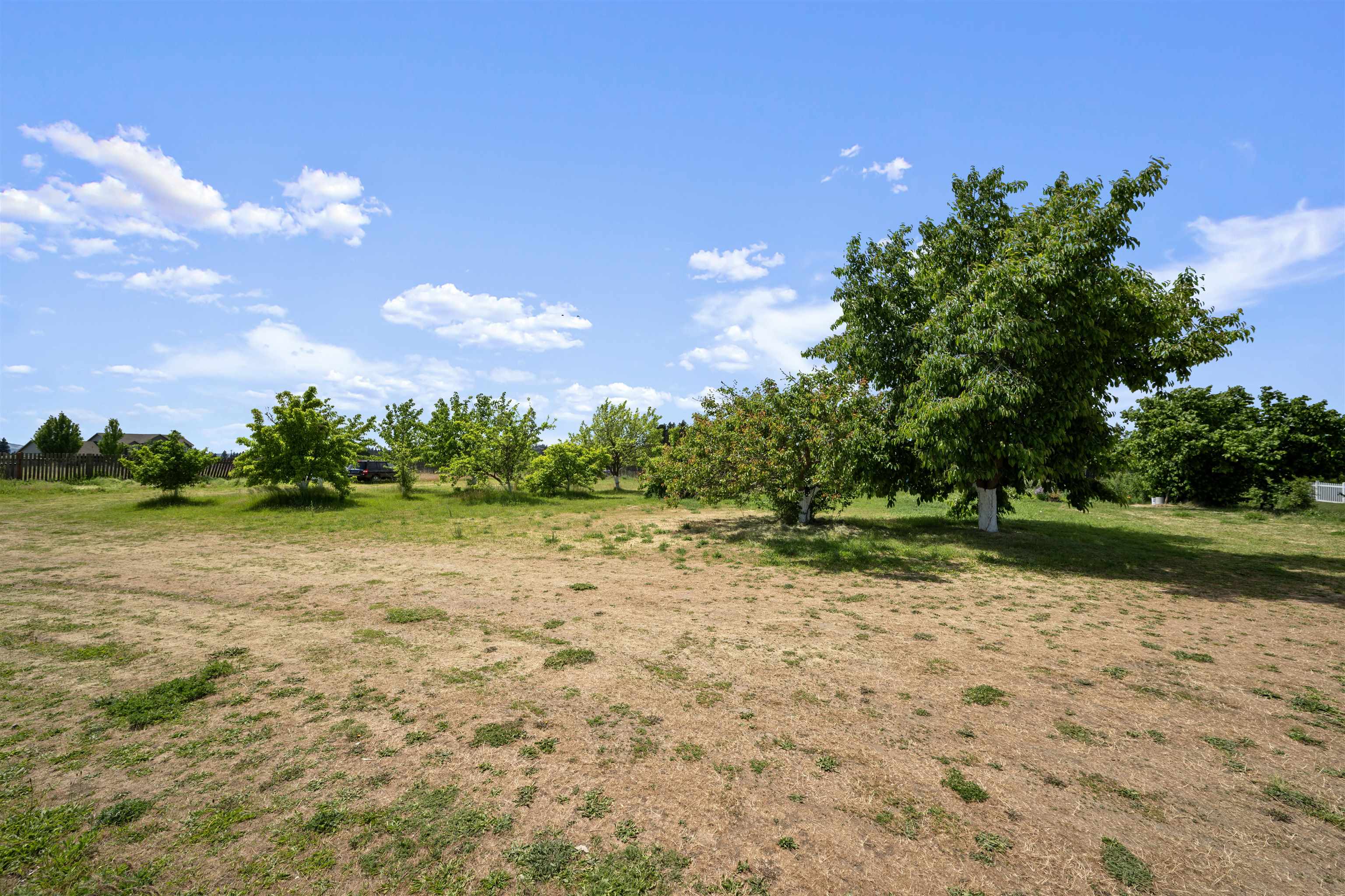 10206 E Tate Rd - Photo 30
