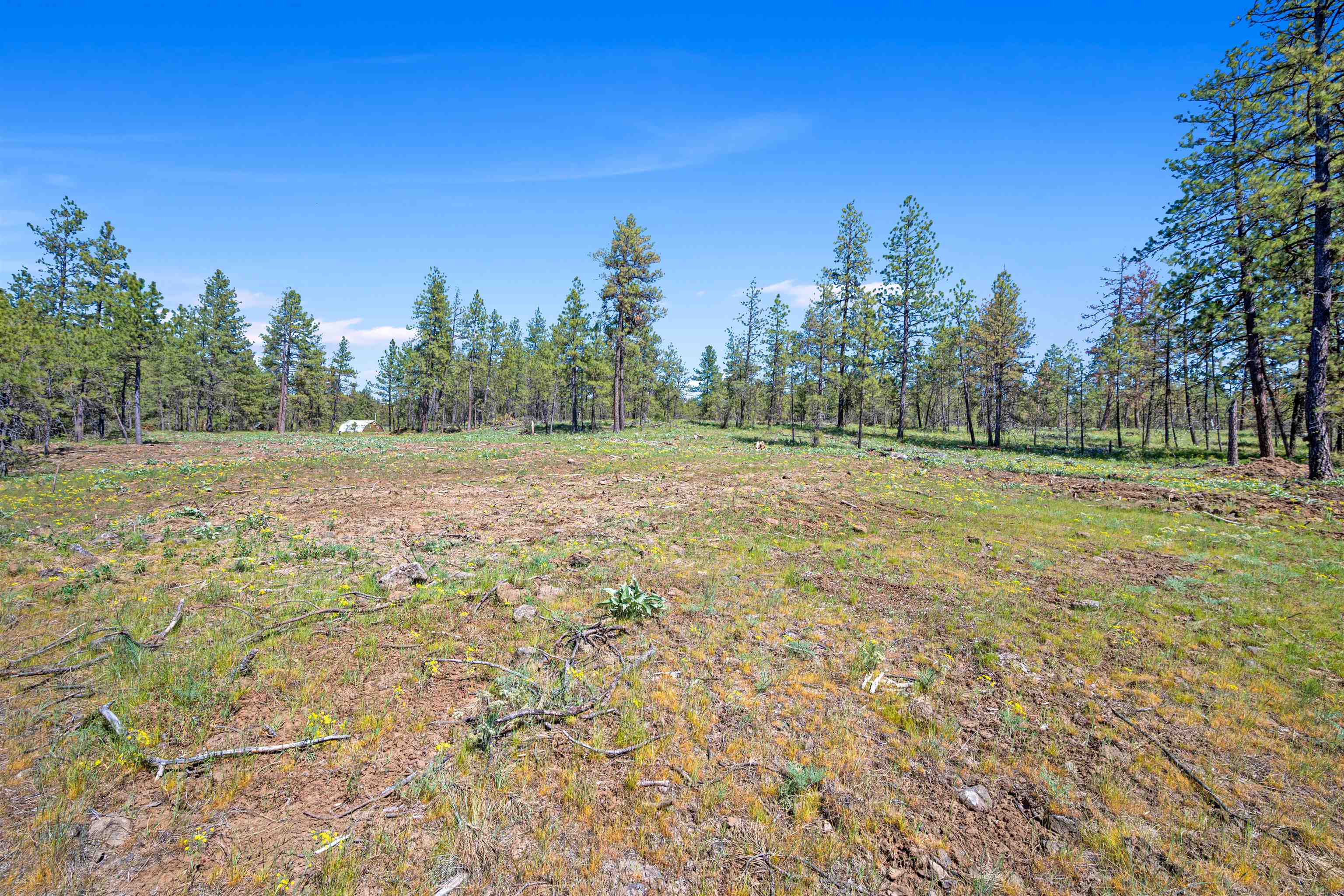 TBA S Goss Rd - Photo 8