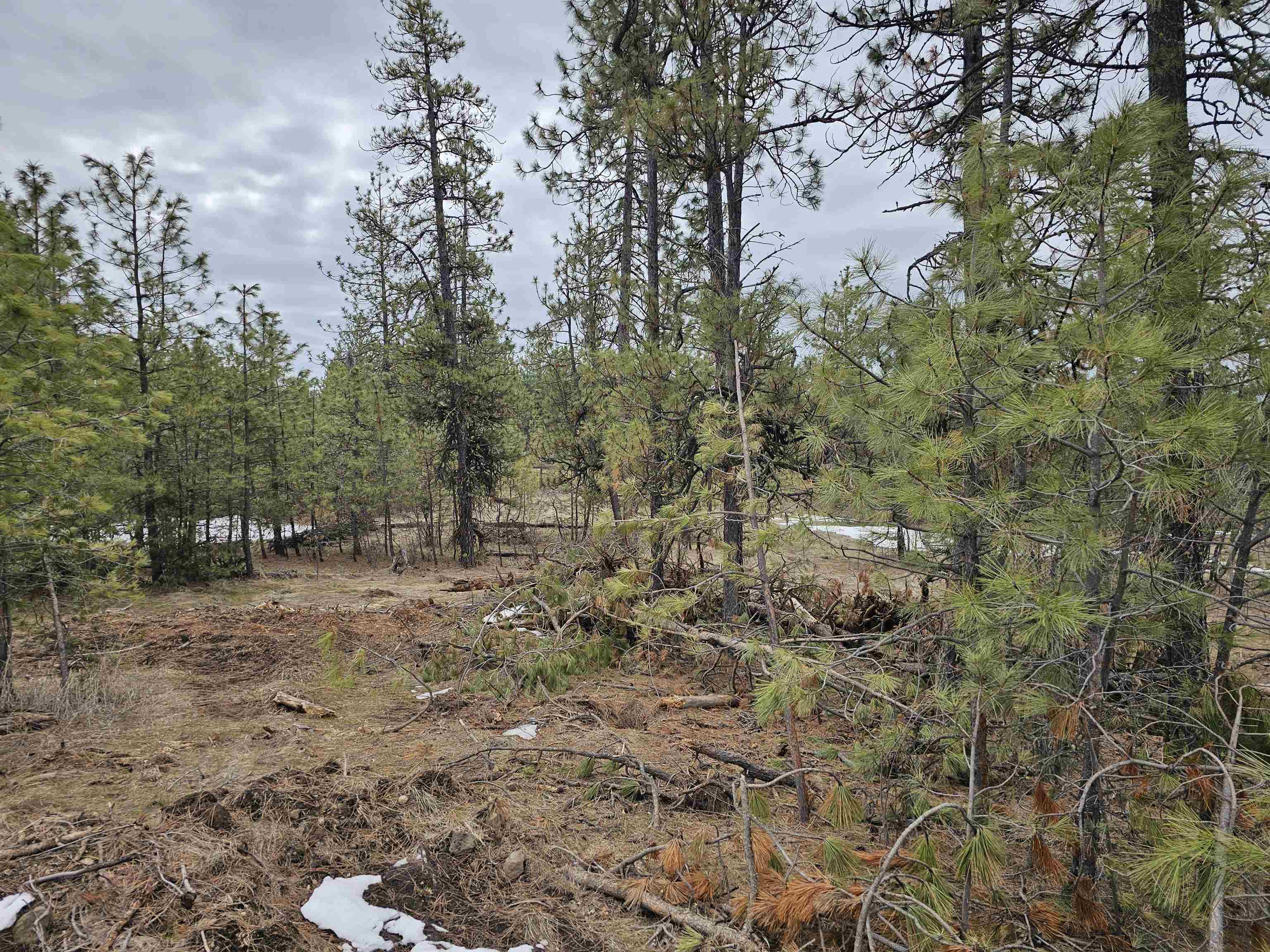 18324 W Burnett Rd - Photo 10