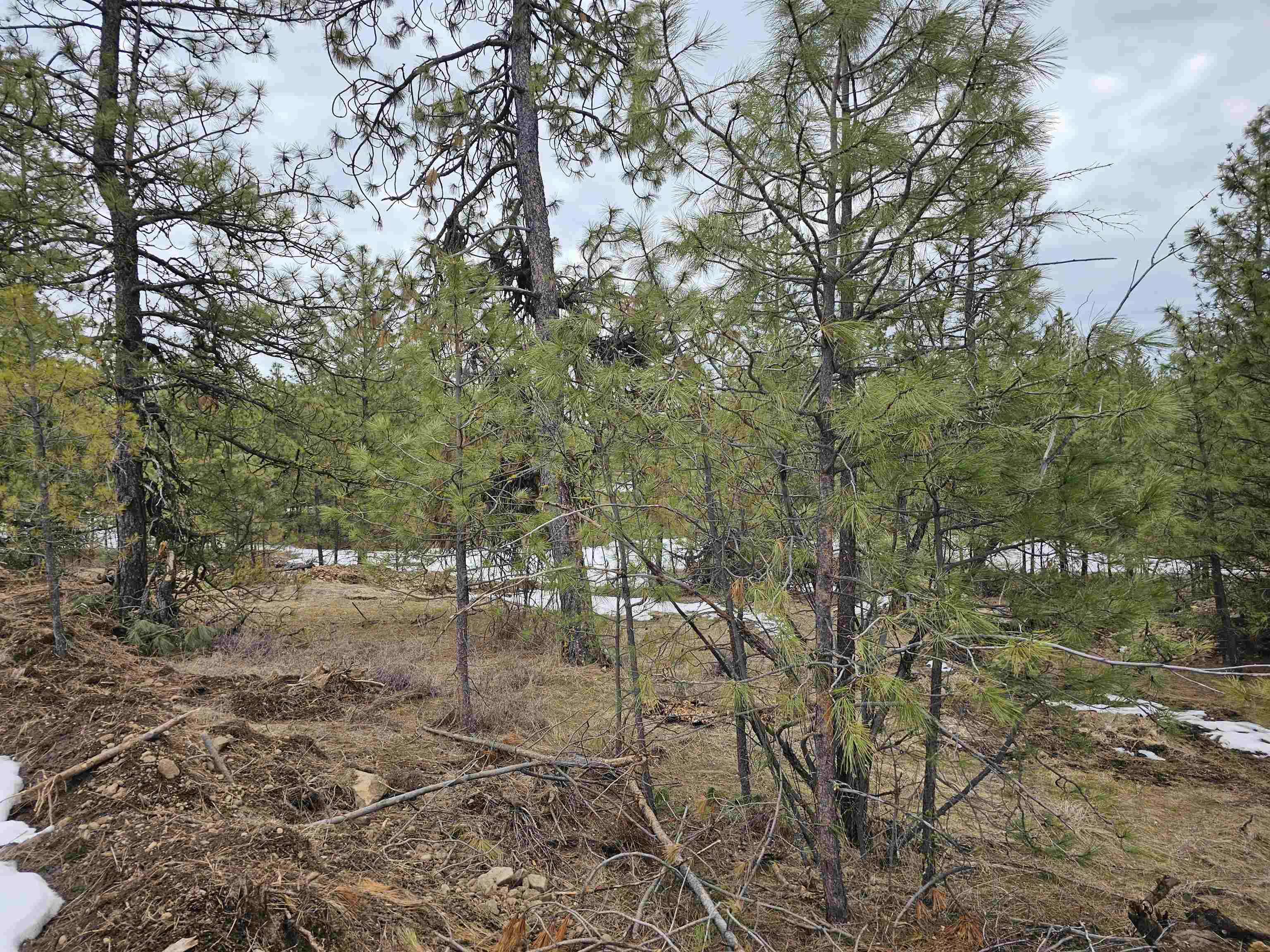 18324 W Burnett Rd - Photo 11