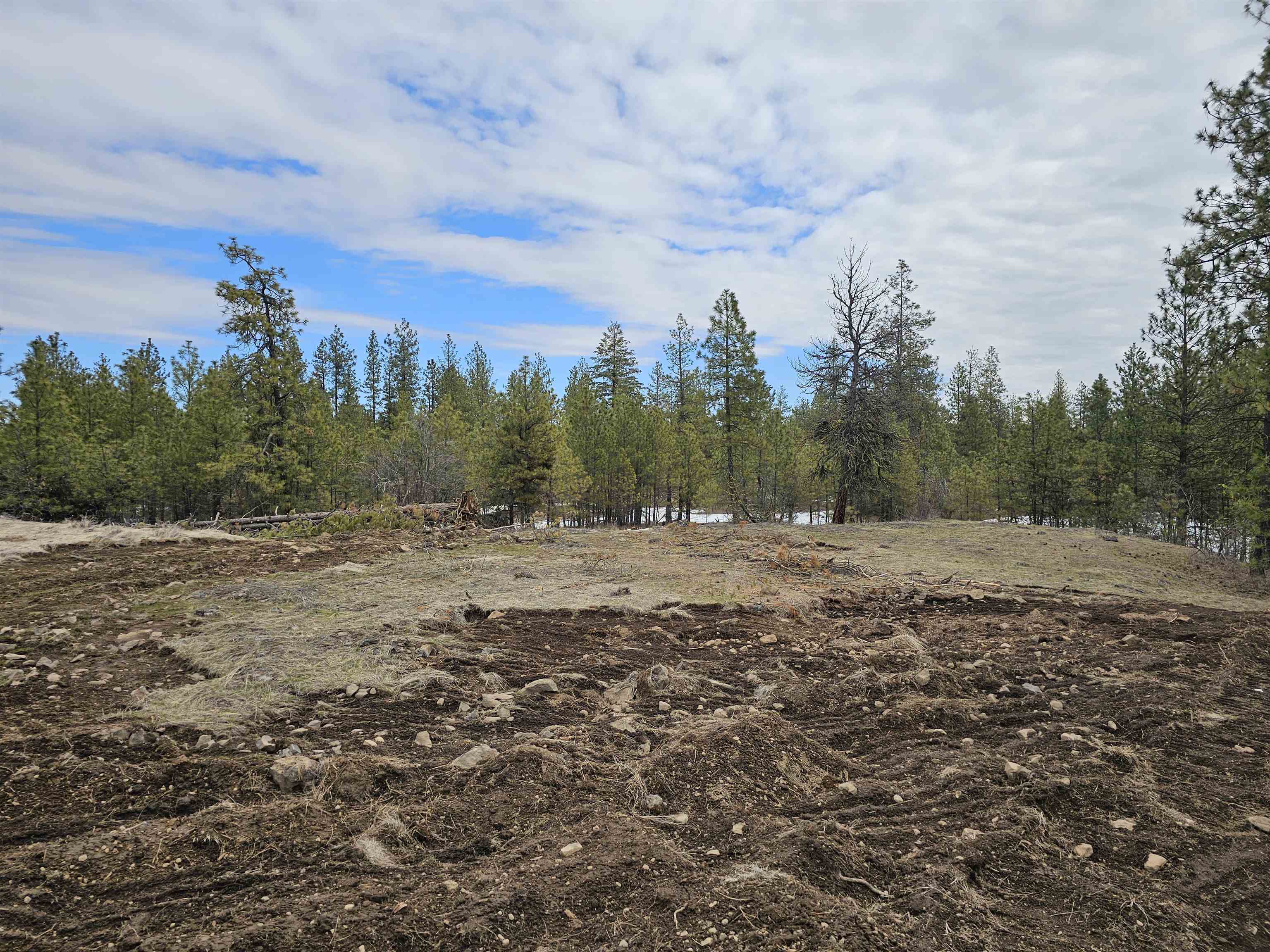 18324 W Burnett Rd - Photo 12