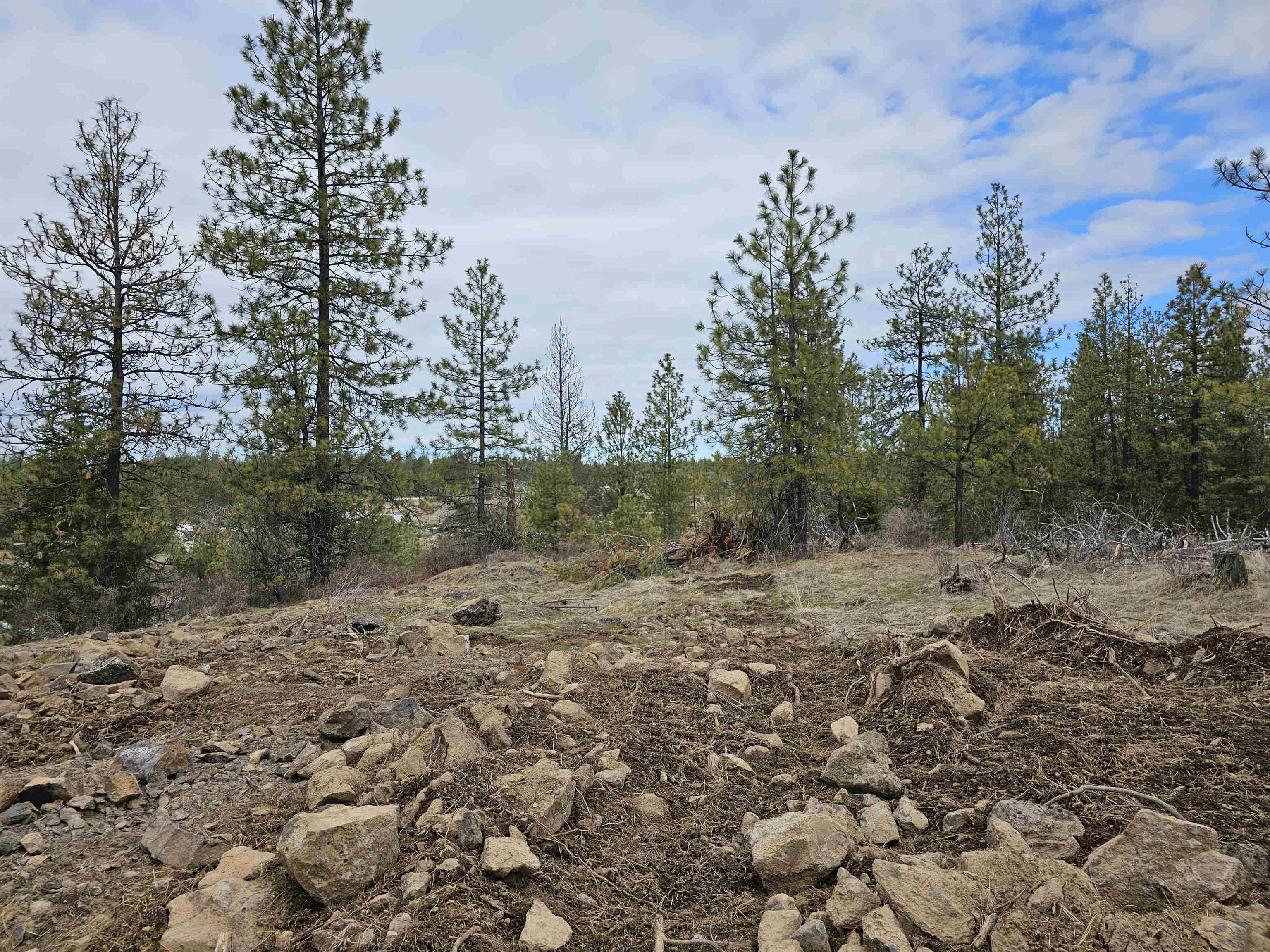 18324 W Burnett Rd - Photo 15