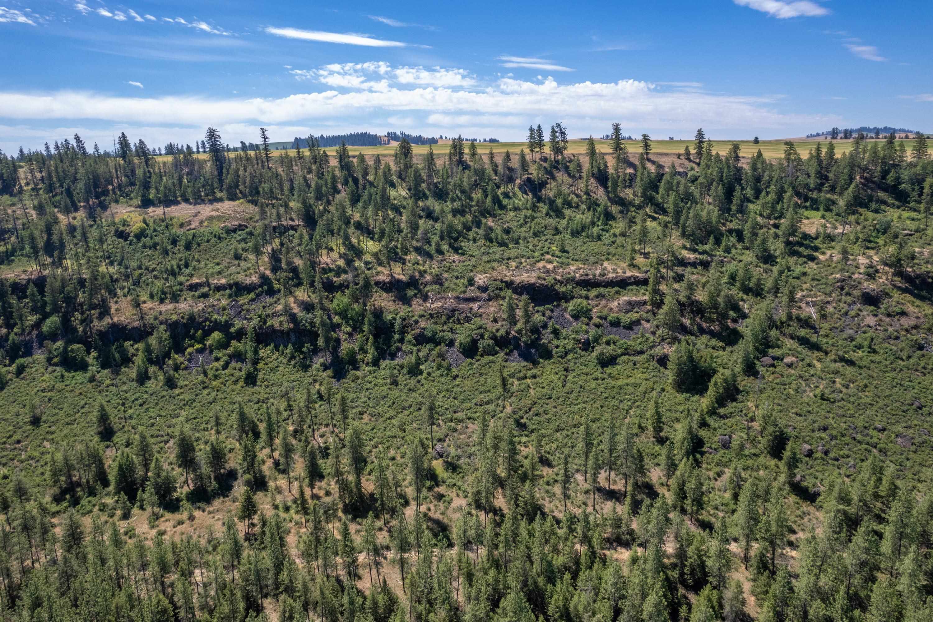 27615 W Long Lake Rd - Photo 48