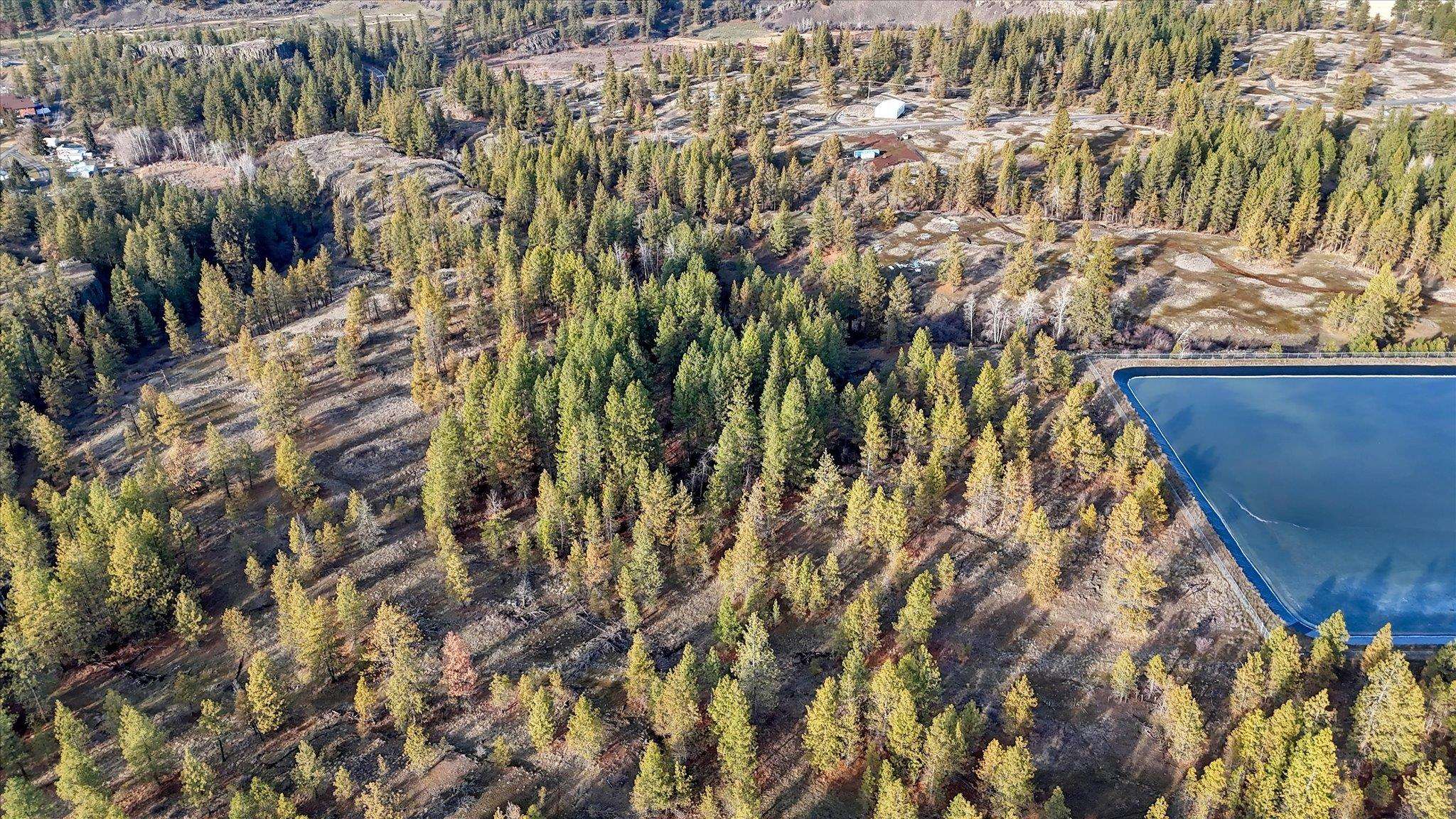 TBD W Williams Lake Rd - Photo 19