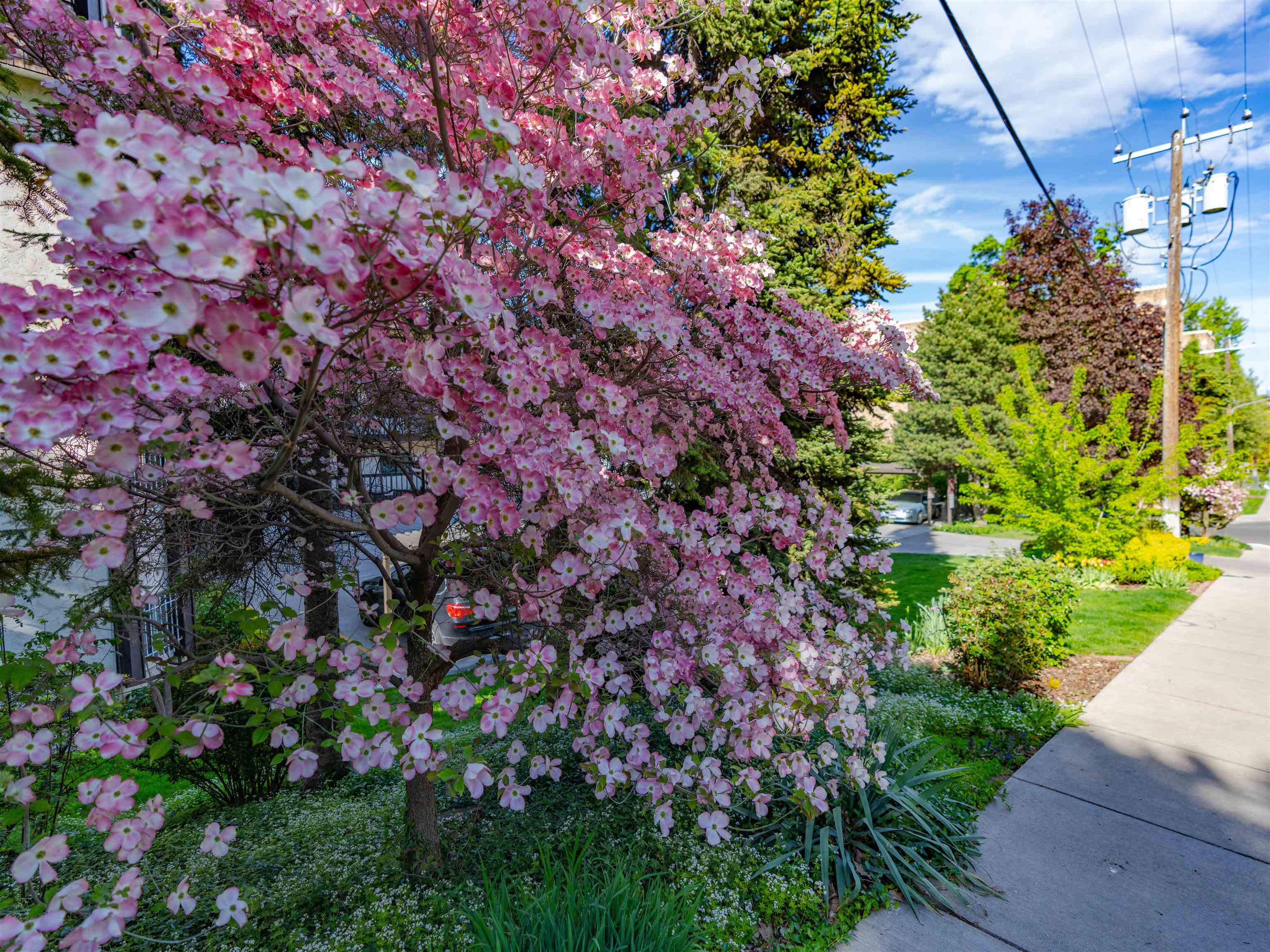 620 W 7th Ave - Photo 32