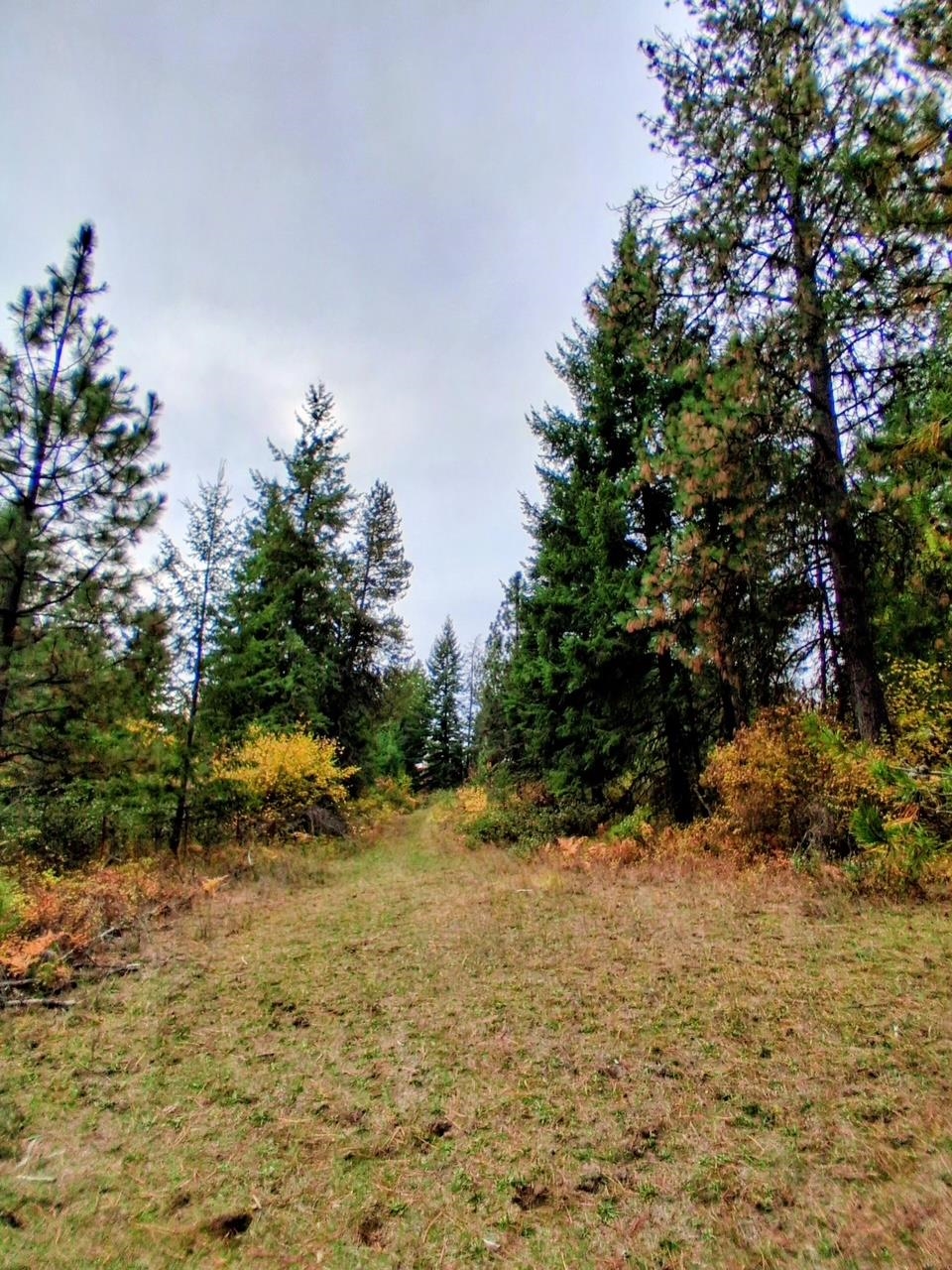 706 mccammon Rd - Photo 3