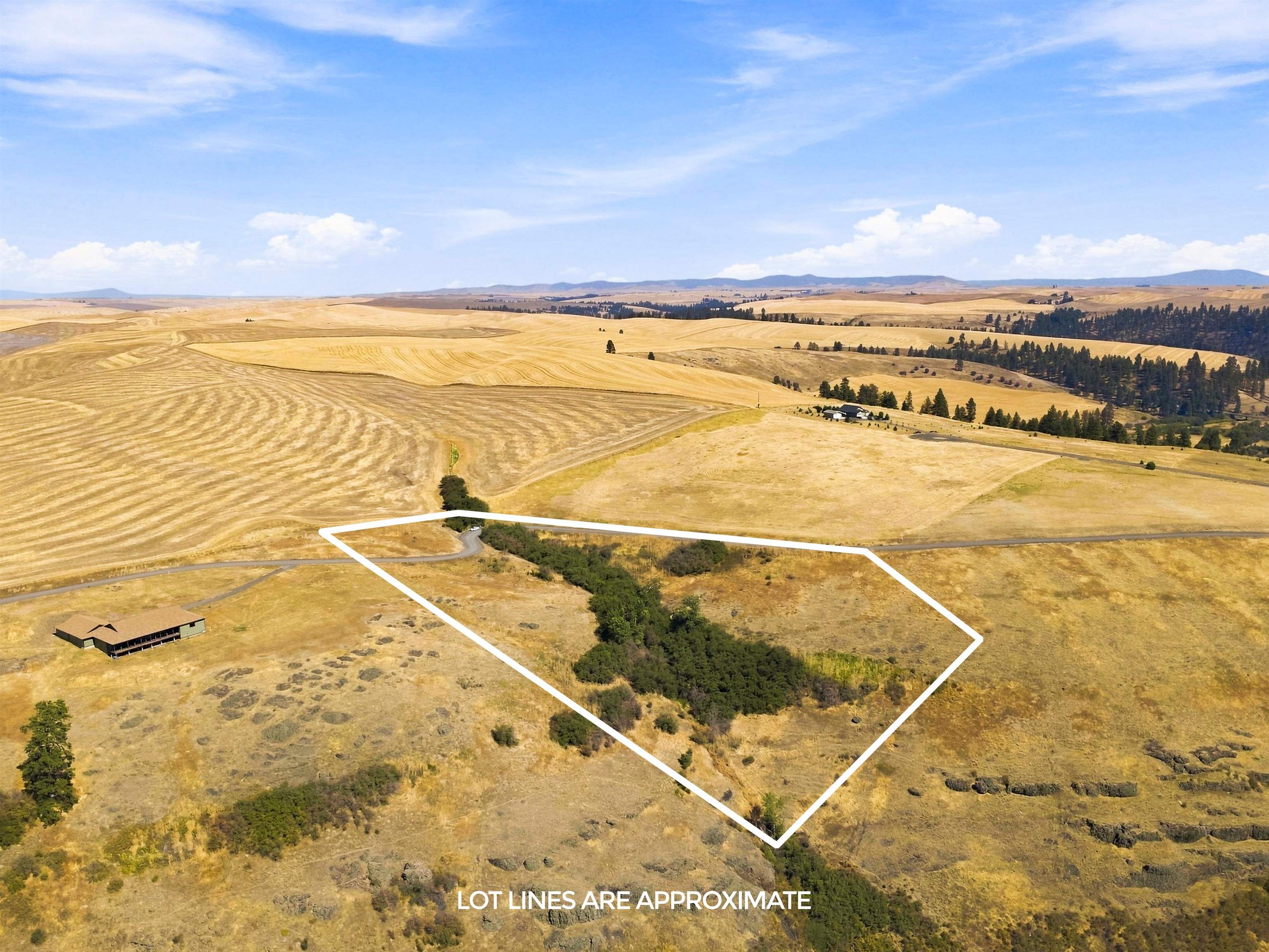 8 Acre Lot Red Tail Ridge Rd - Photo 2