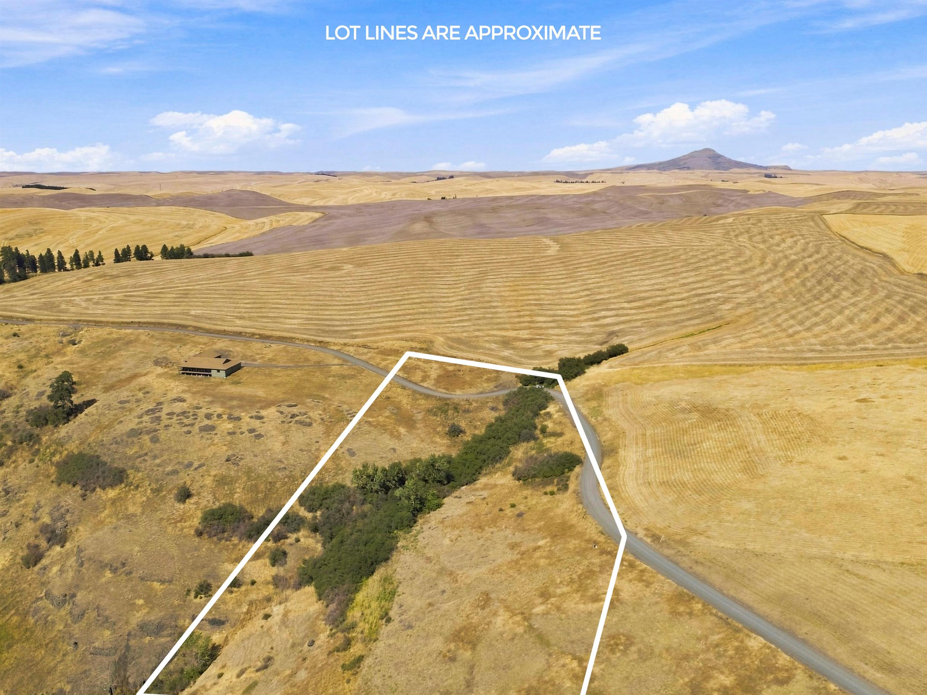 8 Acre Lot Red Tail Ridge Rd - Photo 3