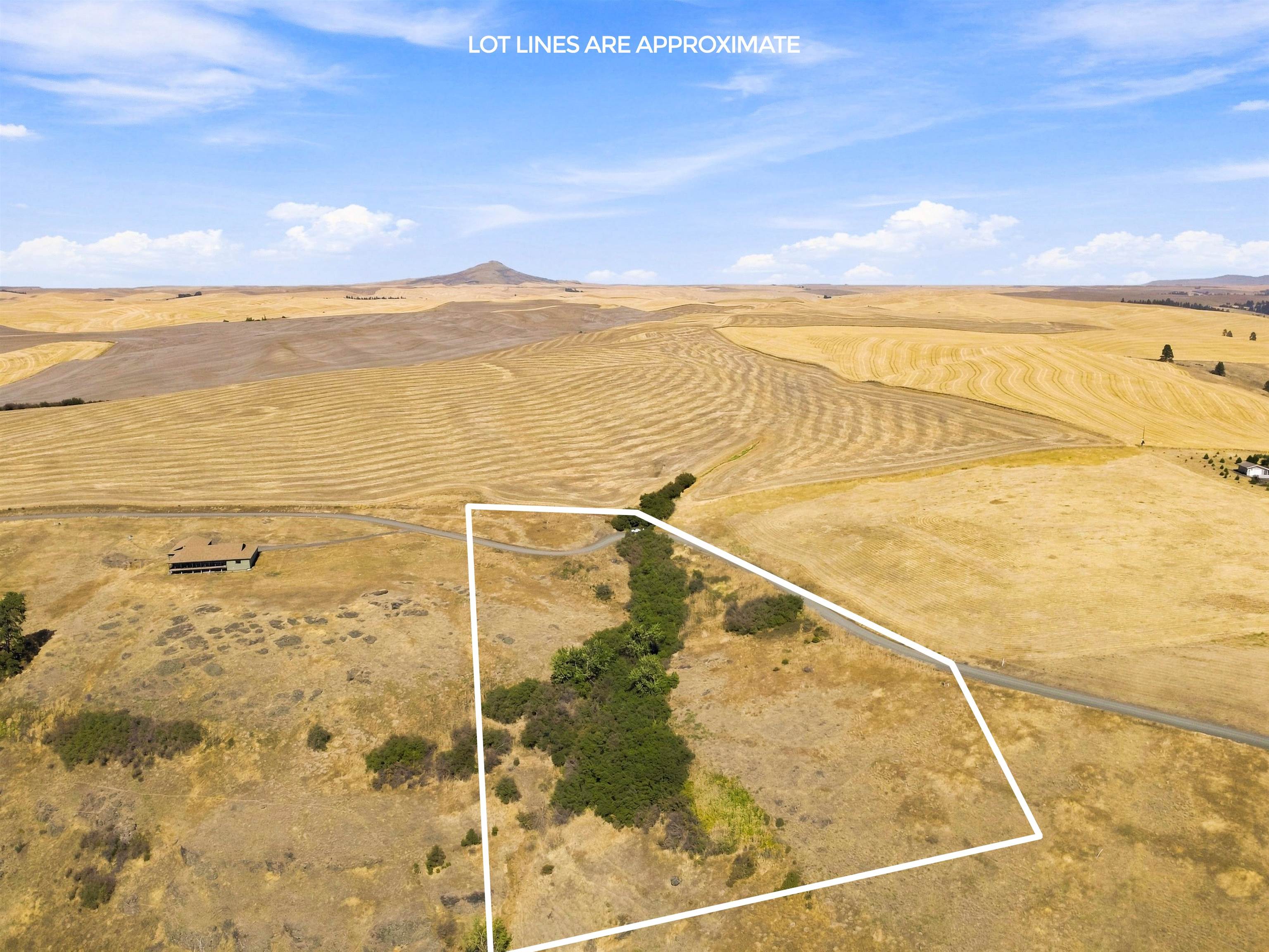 8 Acre Lot Red Tail Ridge Rd - Photo 4