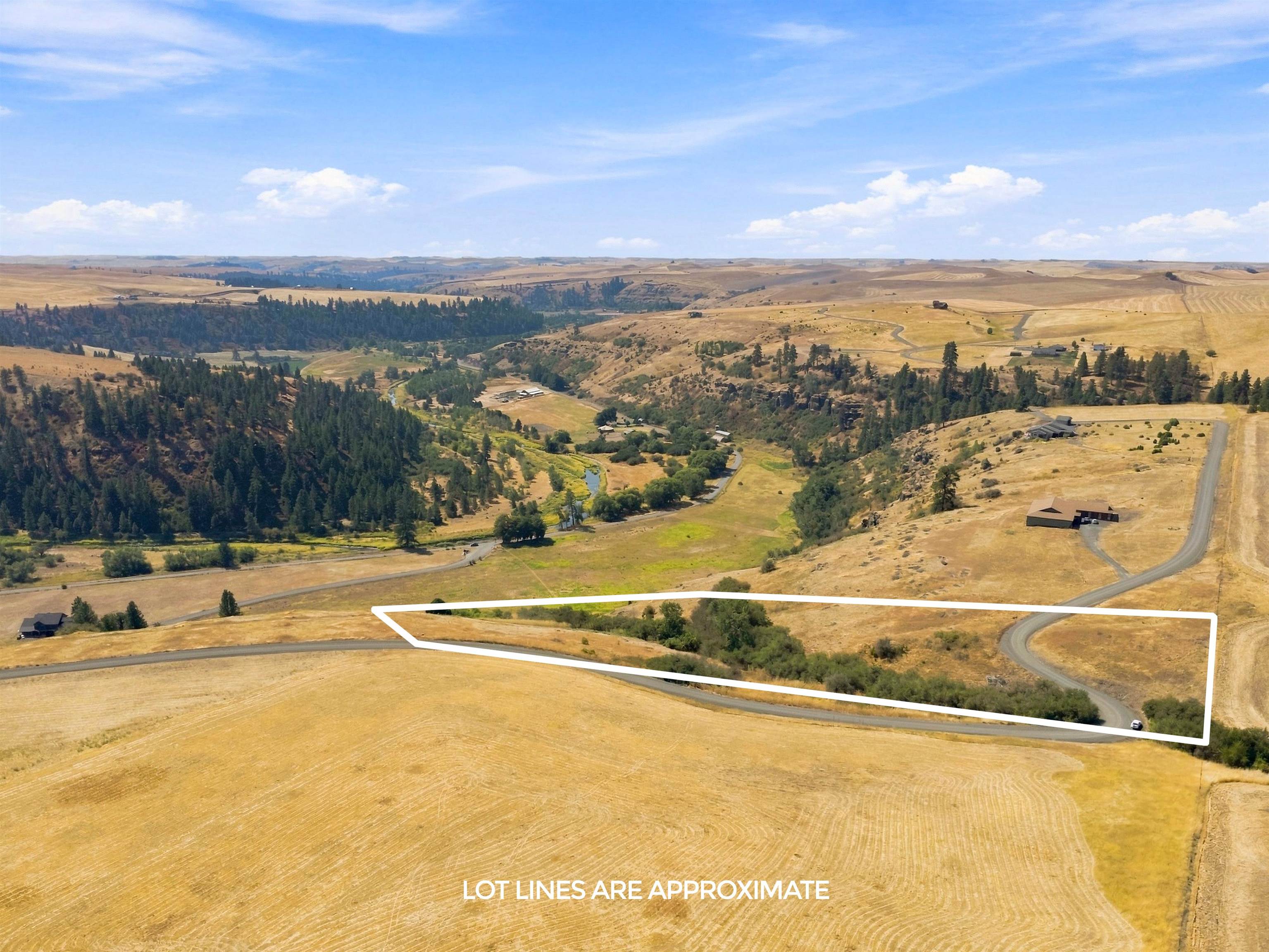 8 Acre Lot Red Tail Ridge Rd - Photo 5