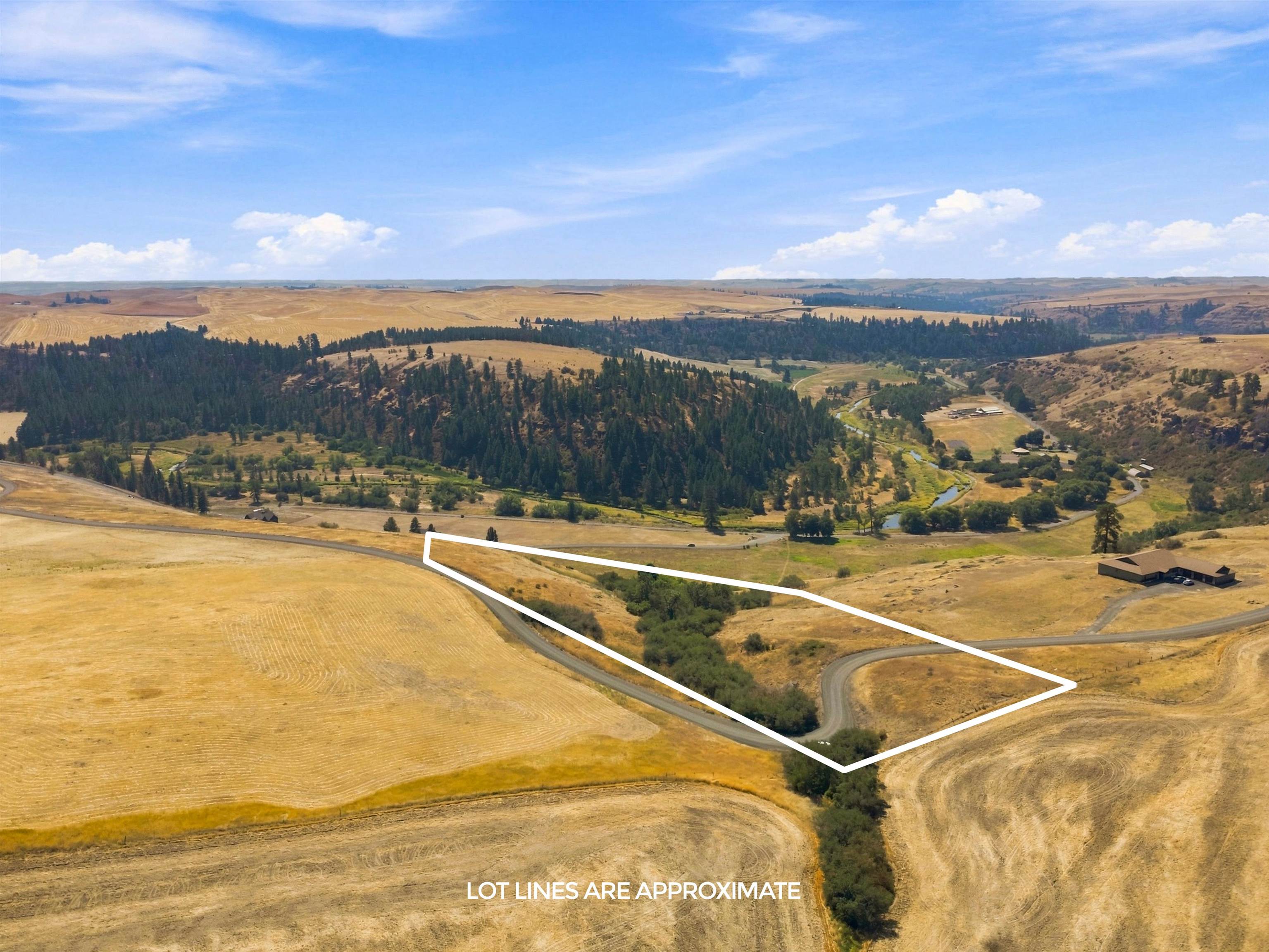 8 Acre Lot Red Tail Ridge Rd - Photo 6