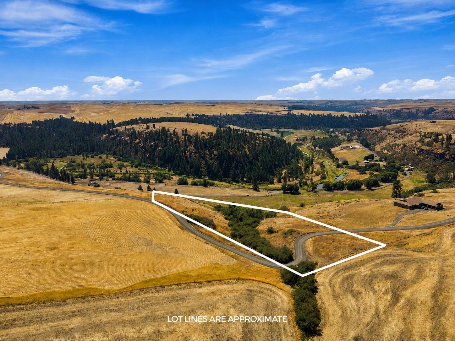 8 Acre Lot Red Tail Ridge Rd - Photo 1