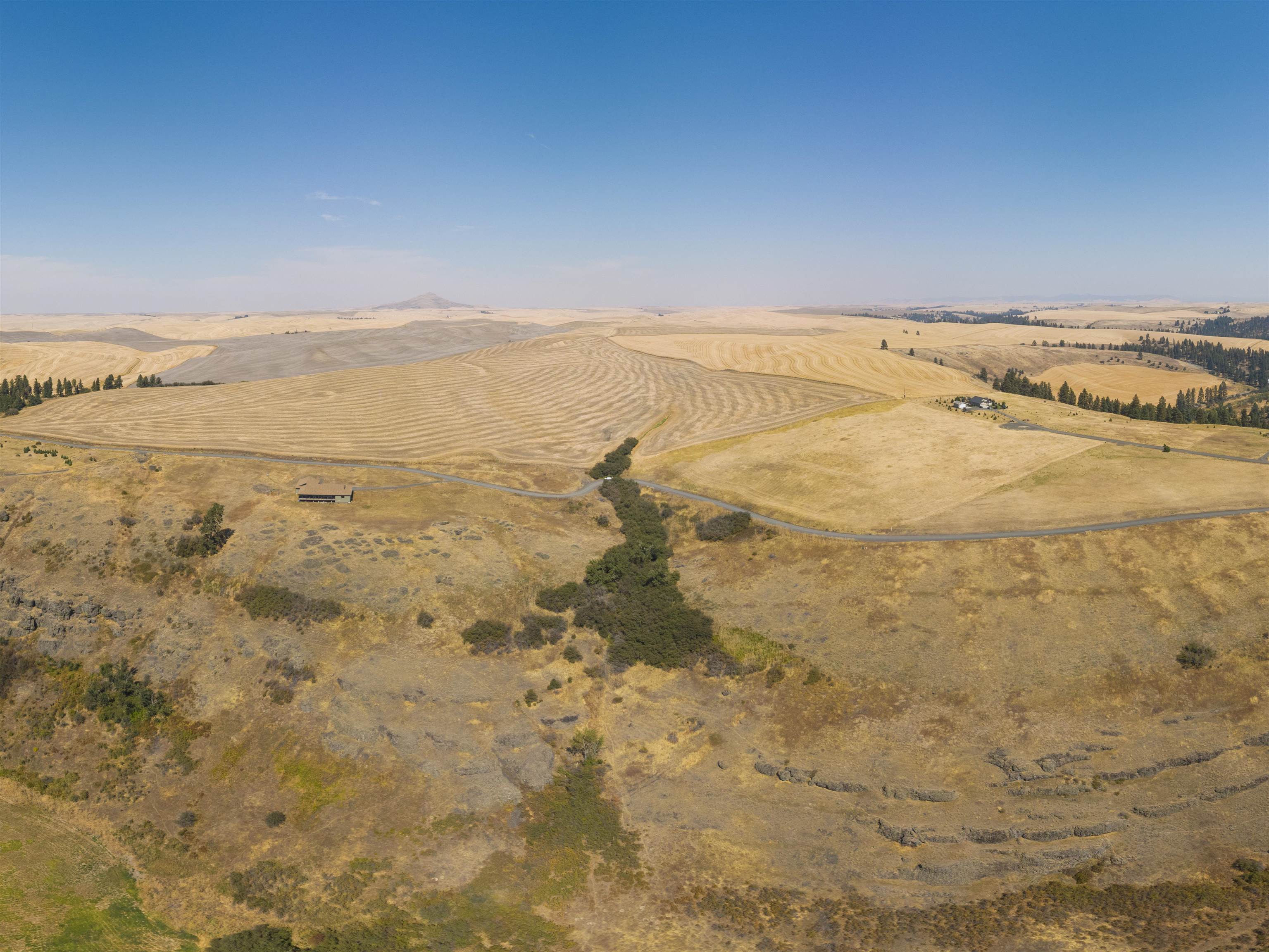 8 Acre Lot Red Tail Ridge Rd - Photo 9