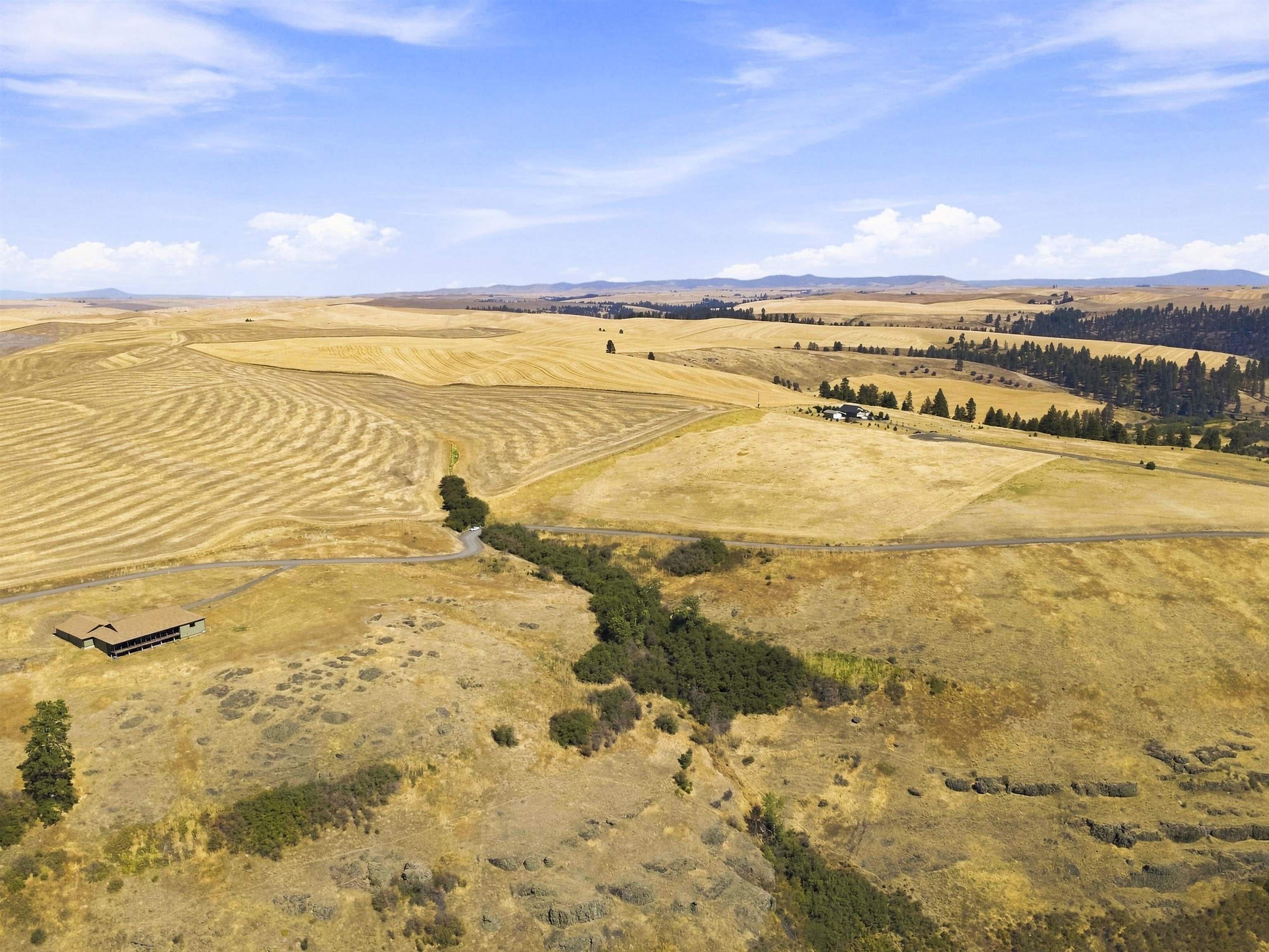 8 Acre Lot Red Tail Ridge Rd - Photo 10