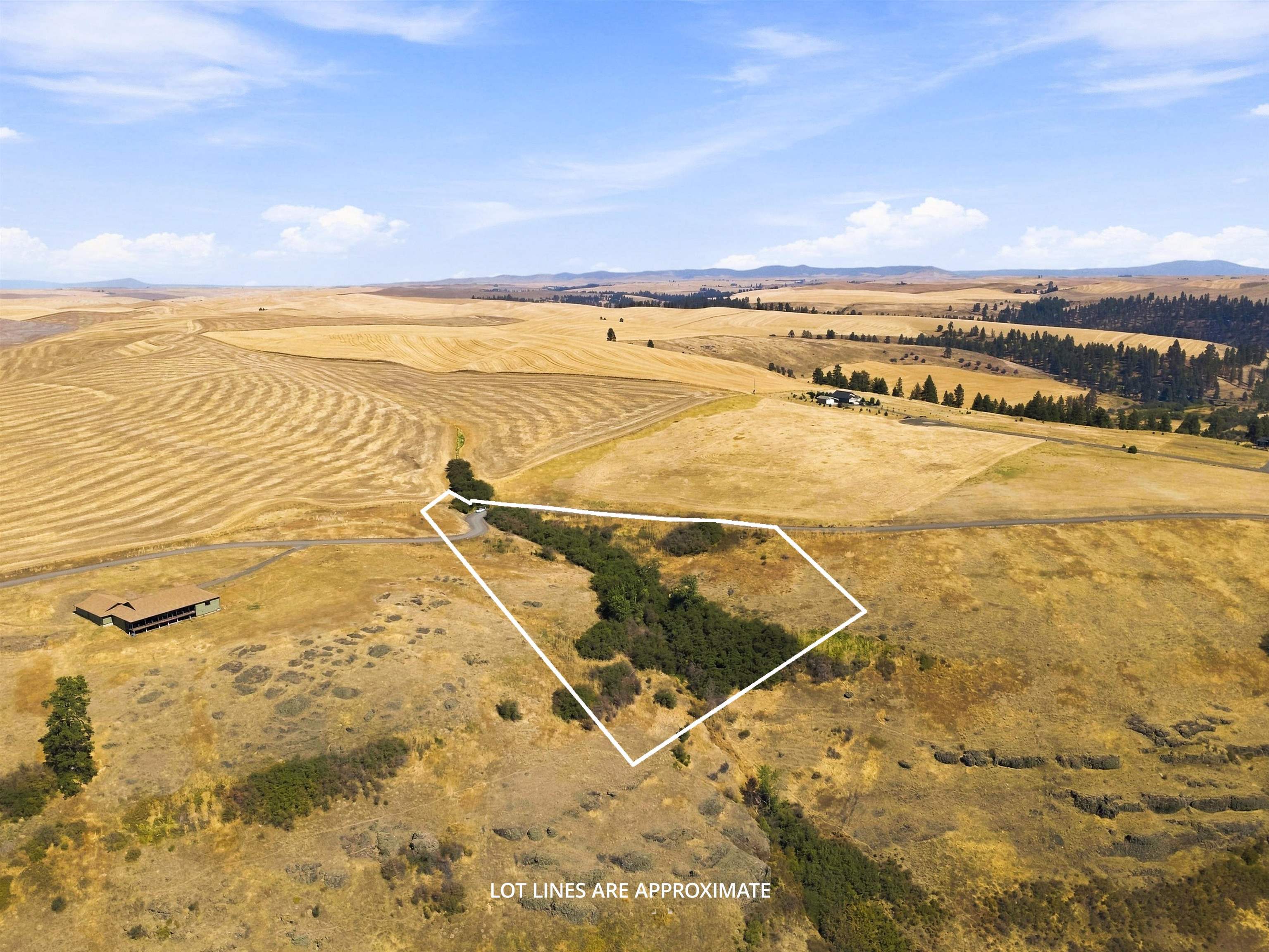 8 Acre Lot Red Tail Ridge Rd - Photo 11