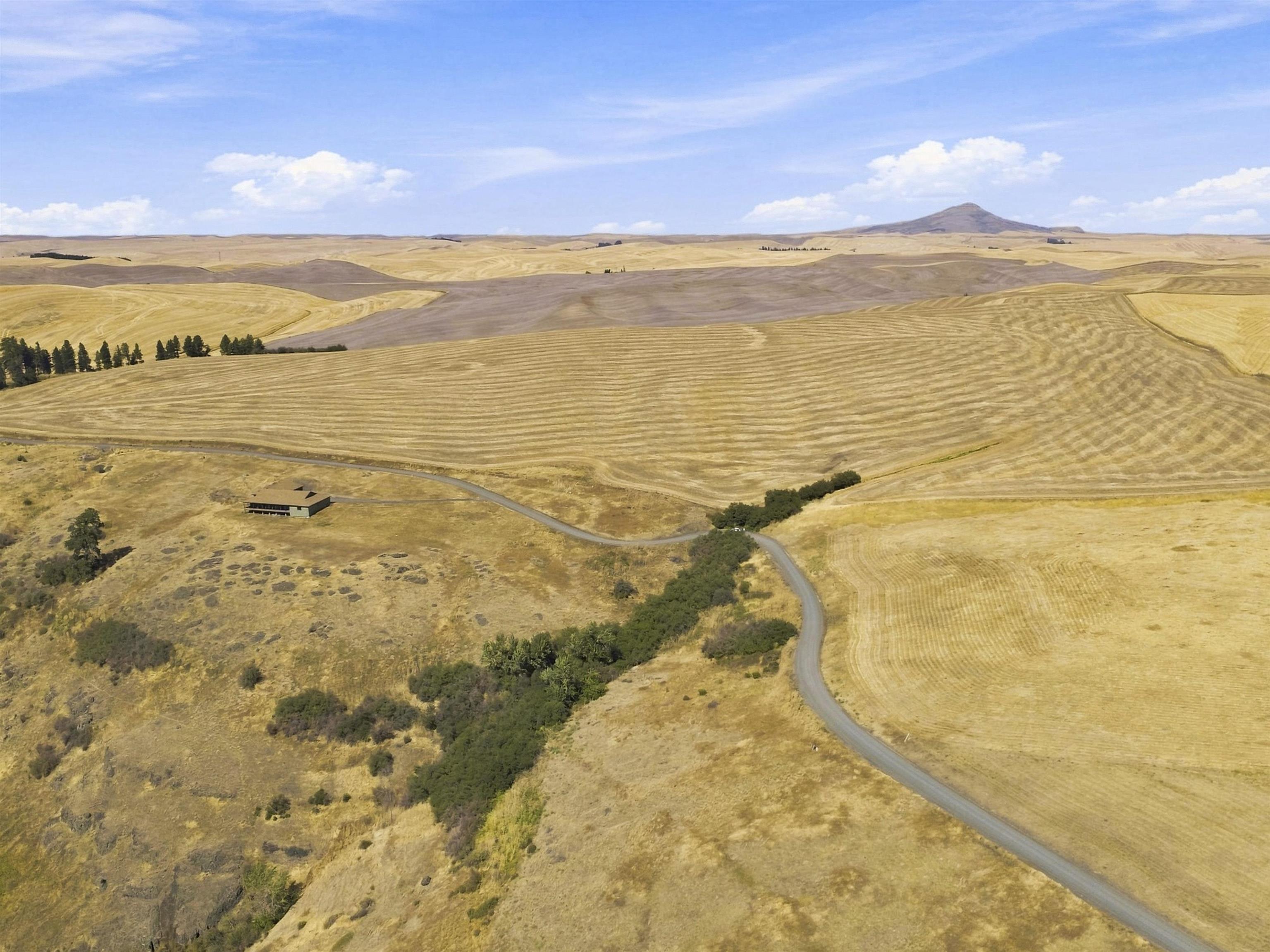 8 Acre Lot Red Tail Ridge Rd - Photo 12