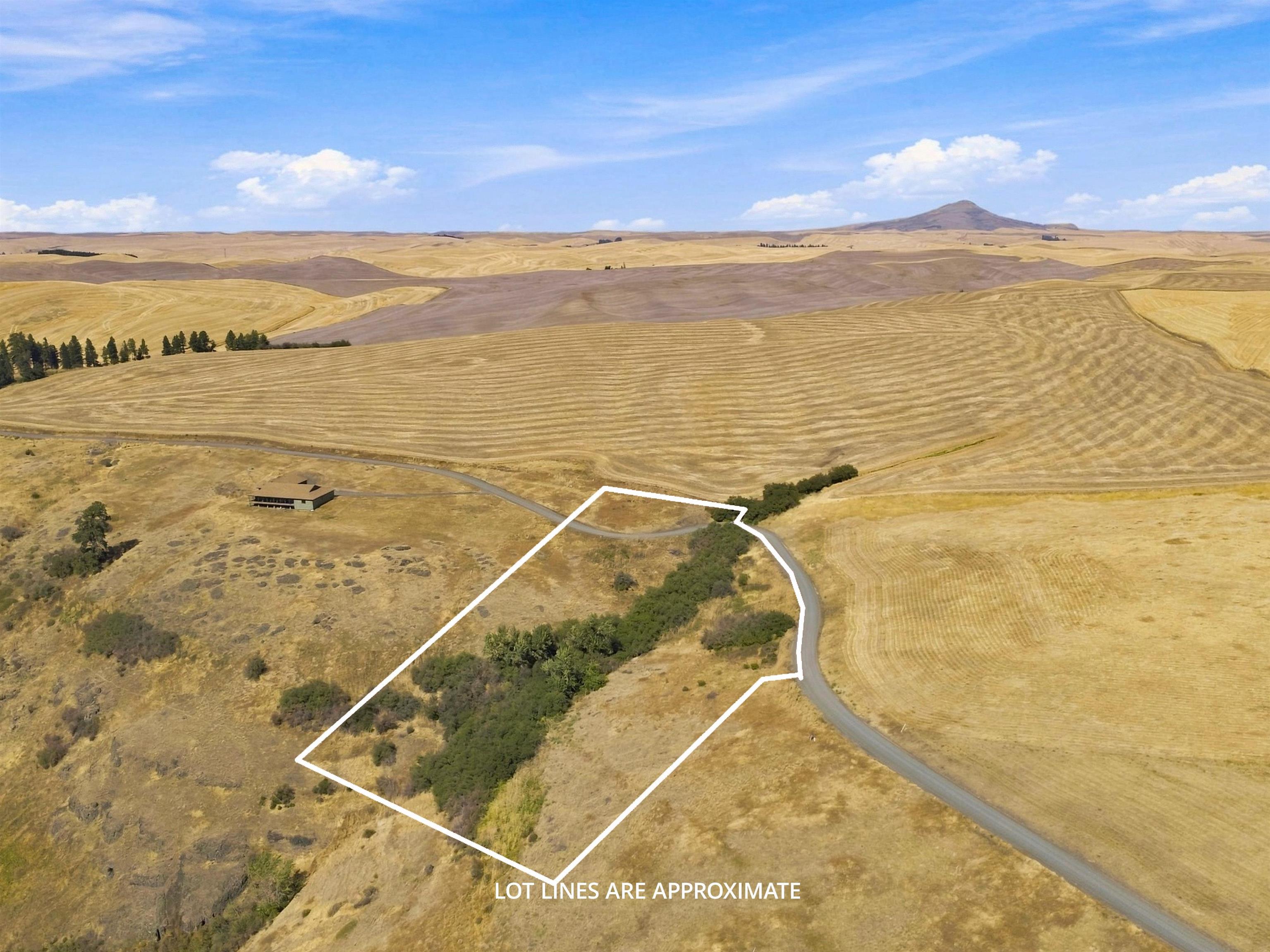 8 Acre Lot Red Tail Ridge Rd - Photo 13