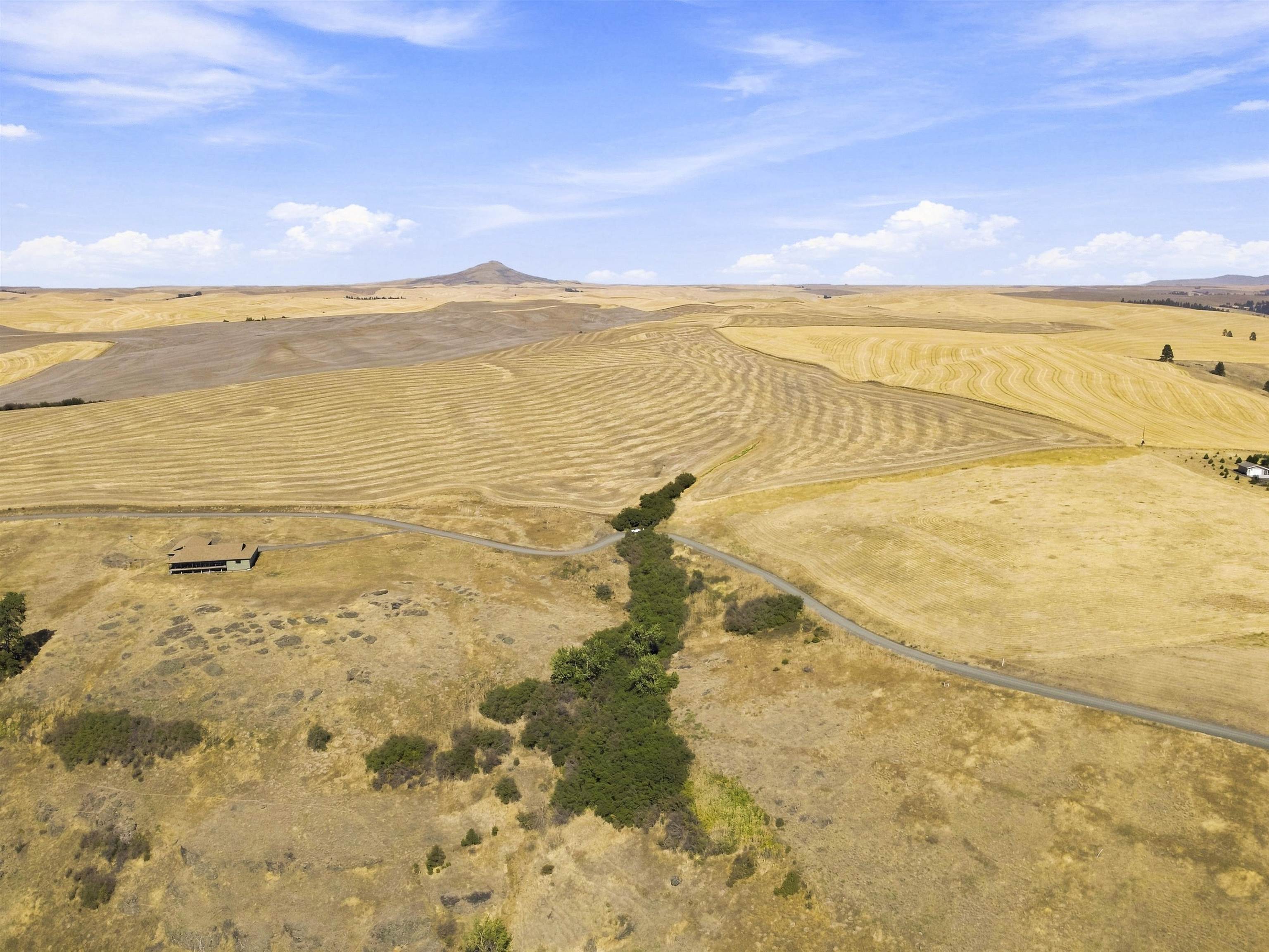 8 Acre Lot Red Tail Ridge Rd - Photo 14