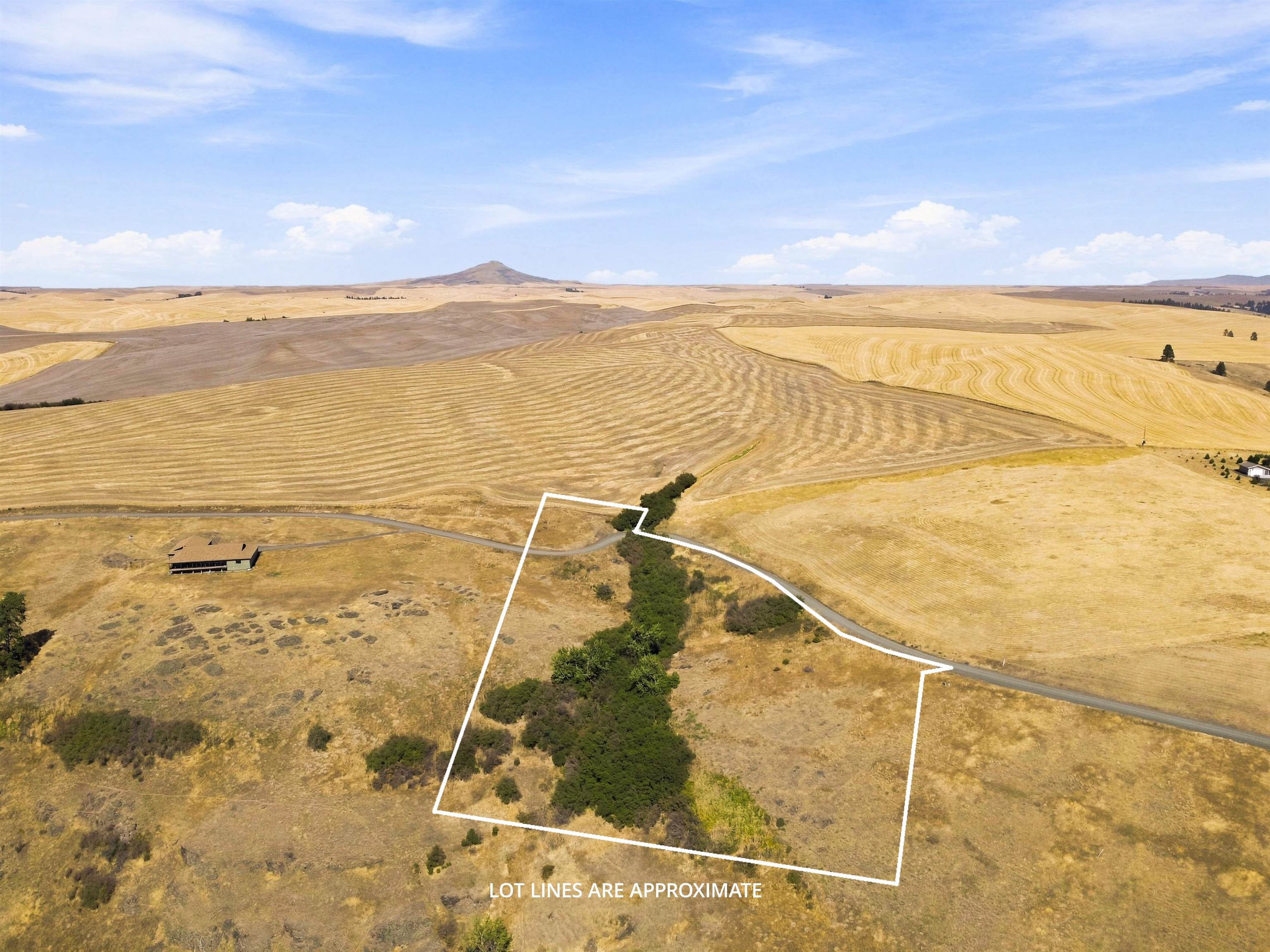 8 Acre Lot Red Tail Ridge Rd - Photo 15