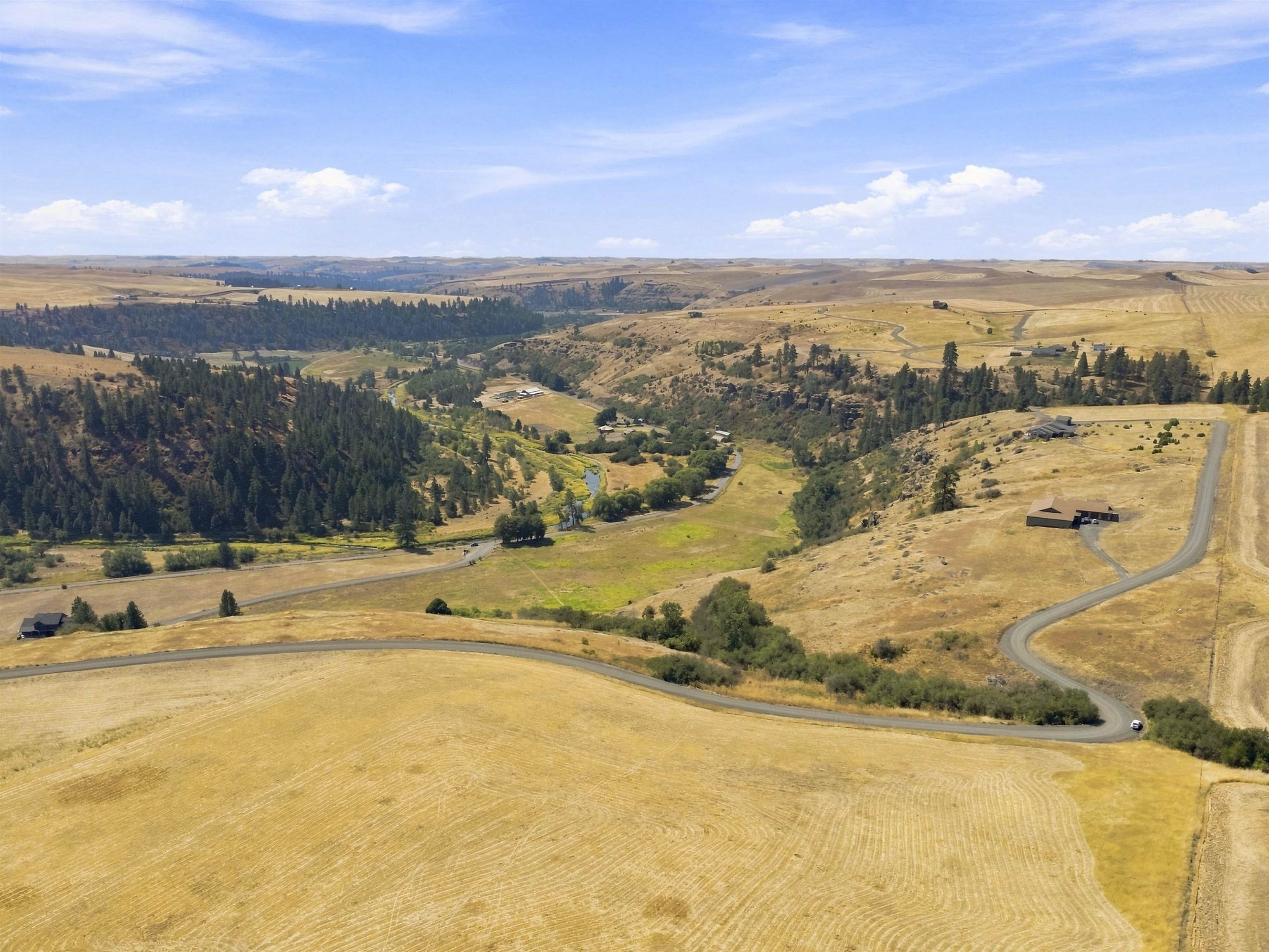 8 Acre Lot Red Tail Ridge Rd - Photo 16