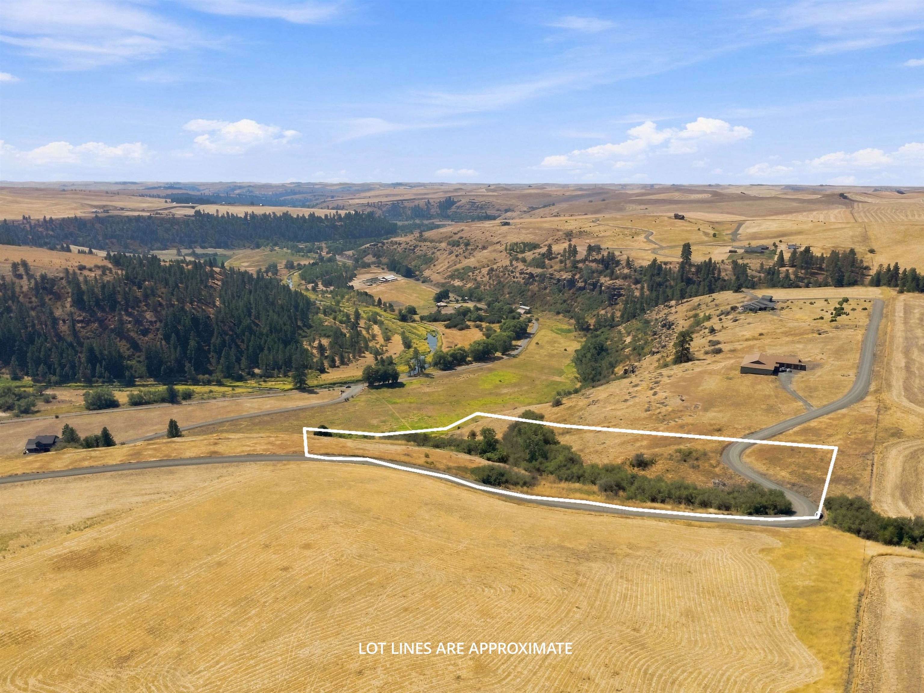 8 Acre Lot Red Tail Ridge Rd - Photo 17