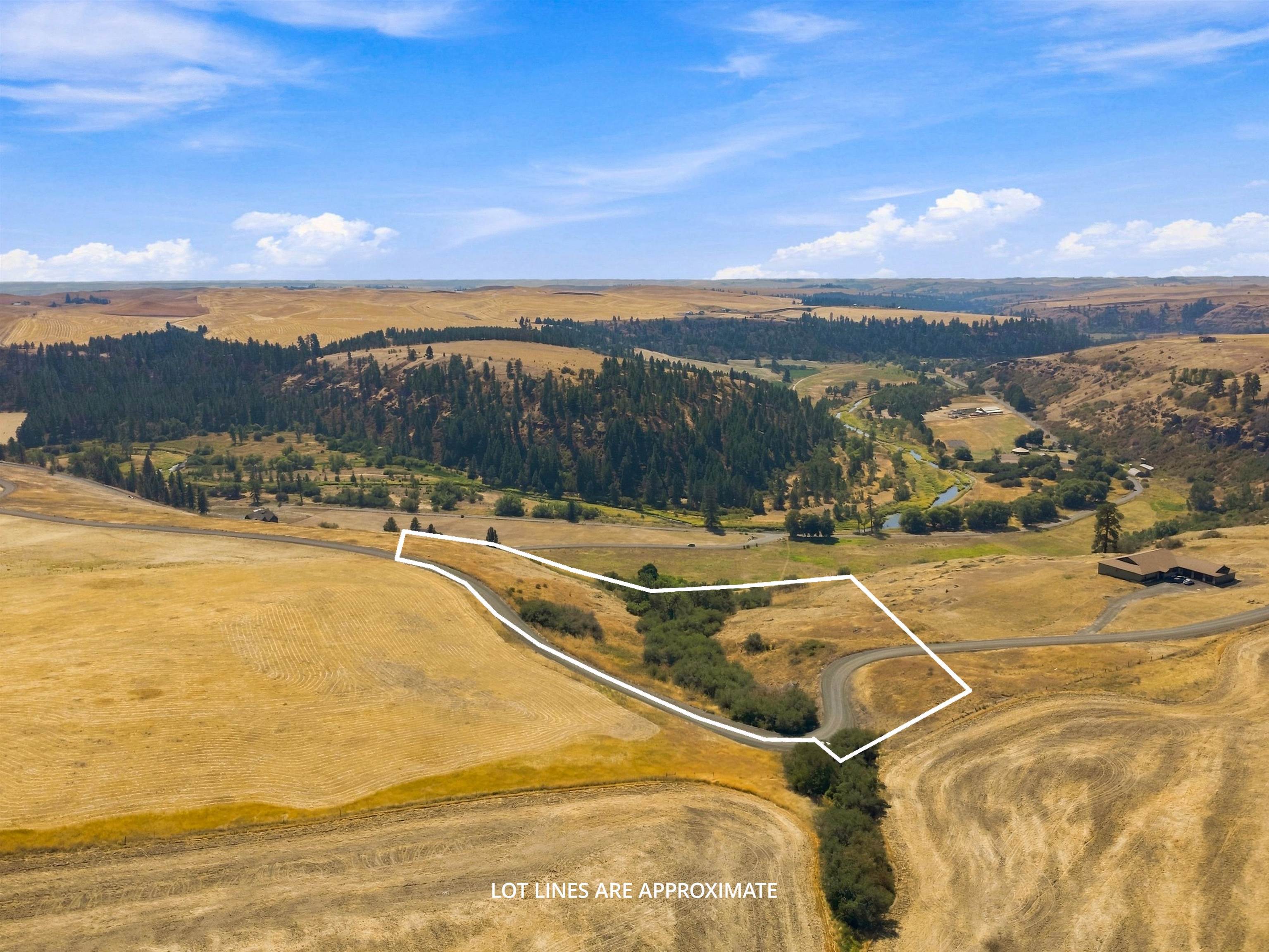 8 Acre Lot Red Tail Ridge Rd - Photo 19